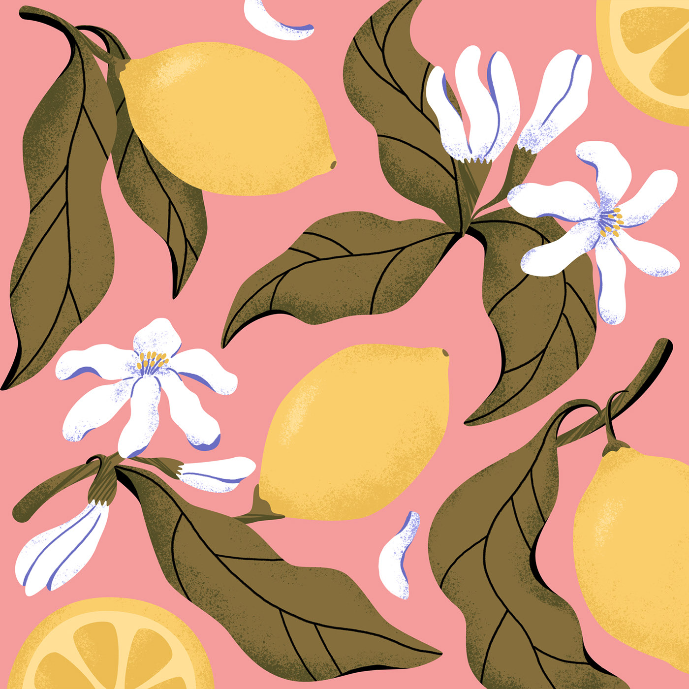 Tea packaging. Floral patterns — Изображение №5 — Брендинг, Иллюстрация на Dprofile