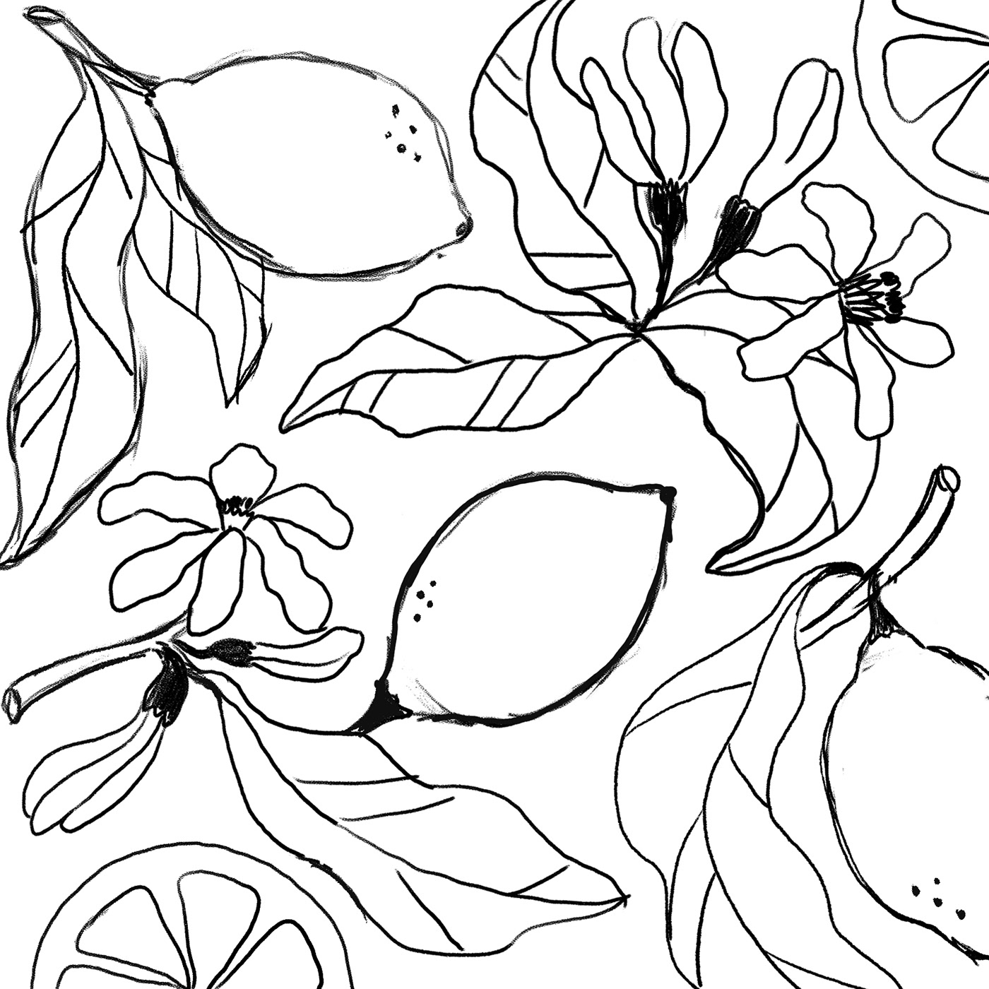 Tea packaging. Floral patterns — Изображение №9 — Брендинг, Иллюстрация на Dprofile