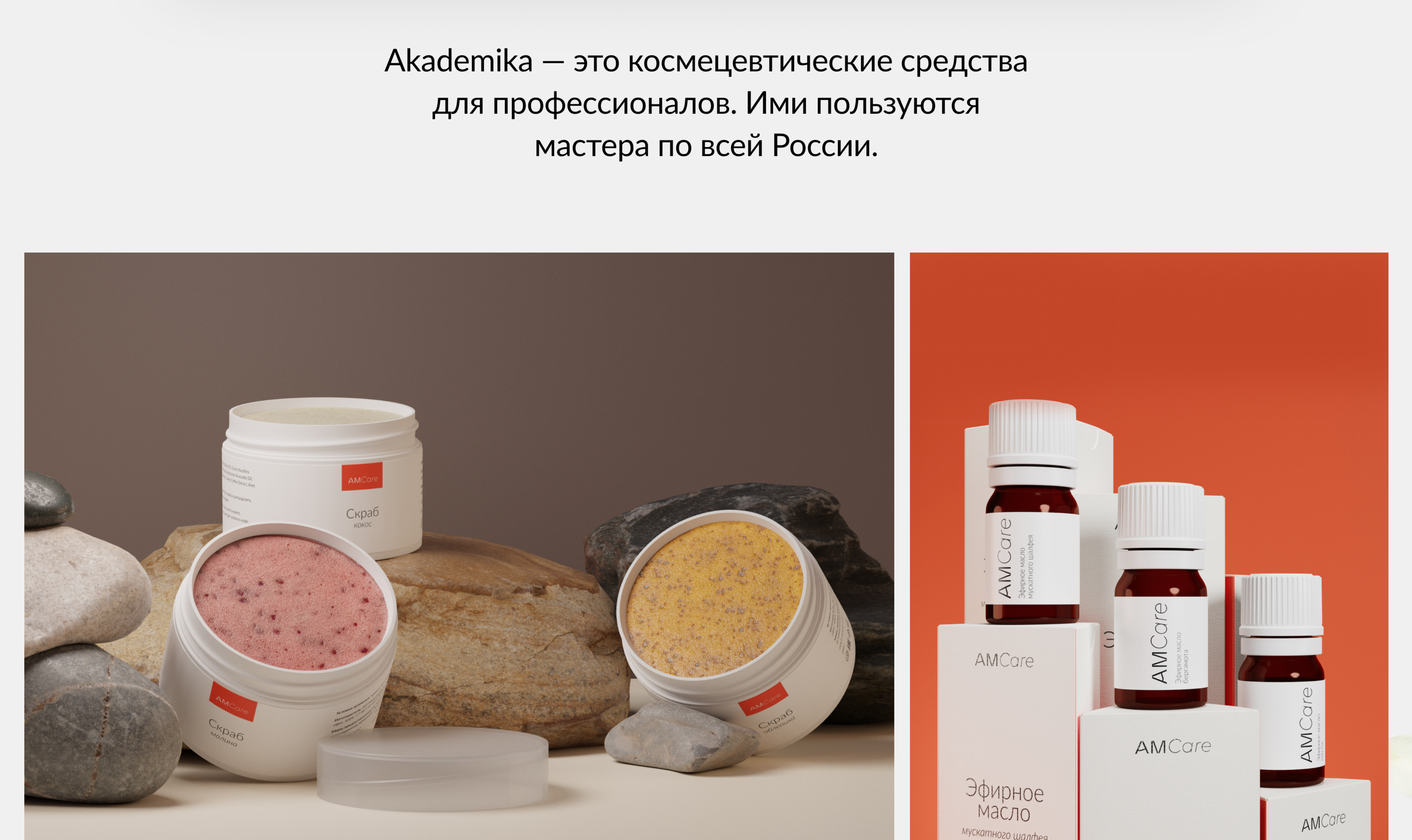 Сайт Akademika — Изображение №2 — Интерфейсы на Dprofile