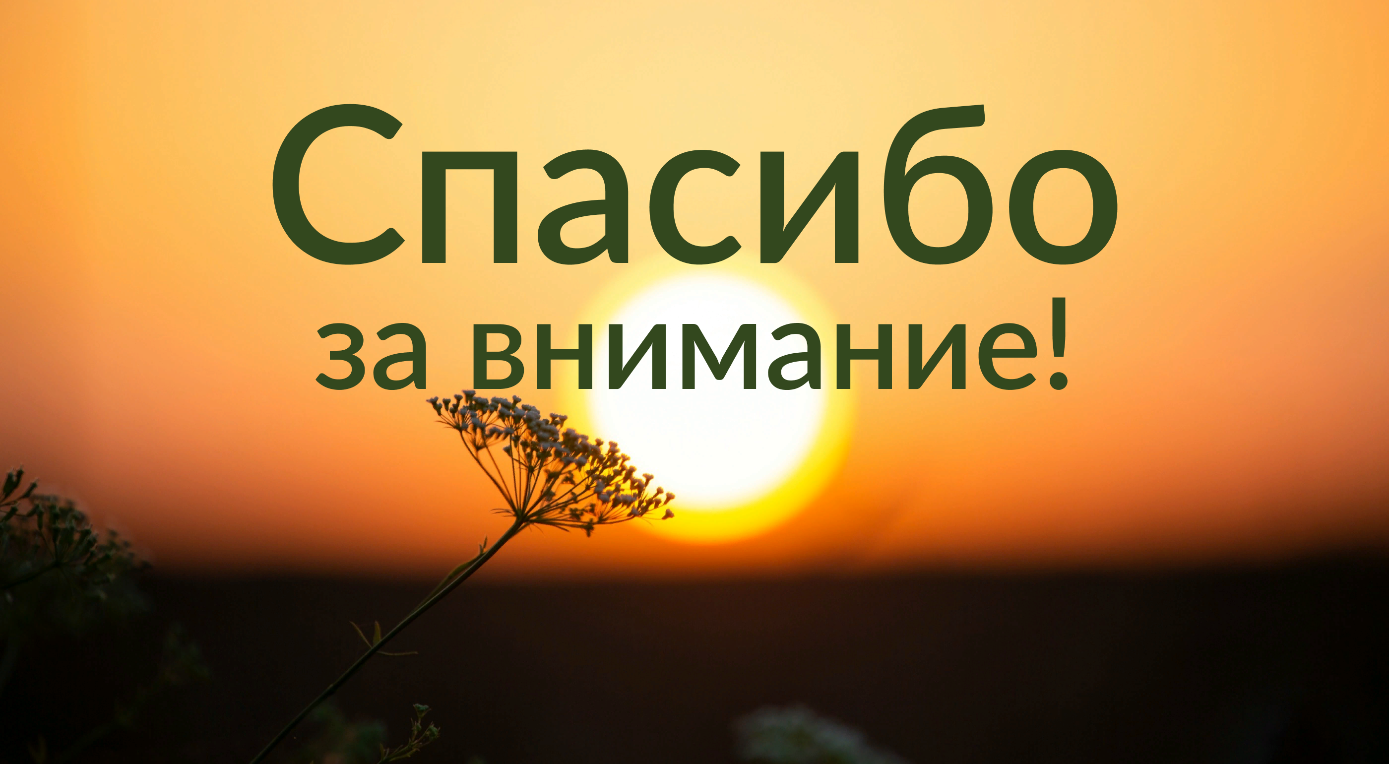 Сайт интернет- магазина палаток и шатров — Изображение №12 — Интерфейсы на Dprofile