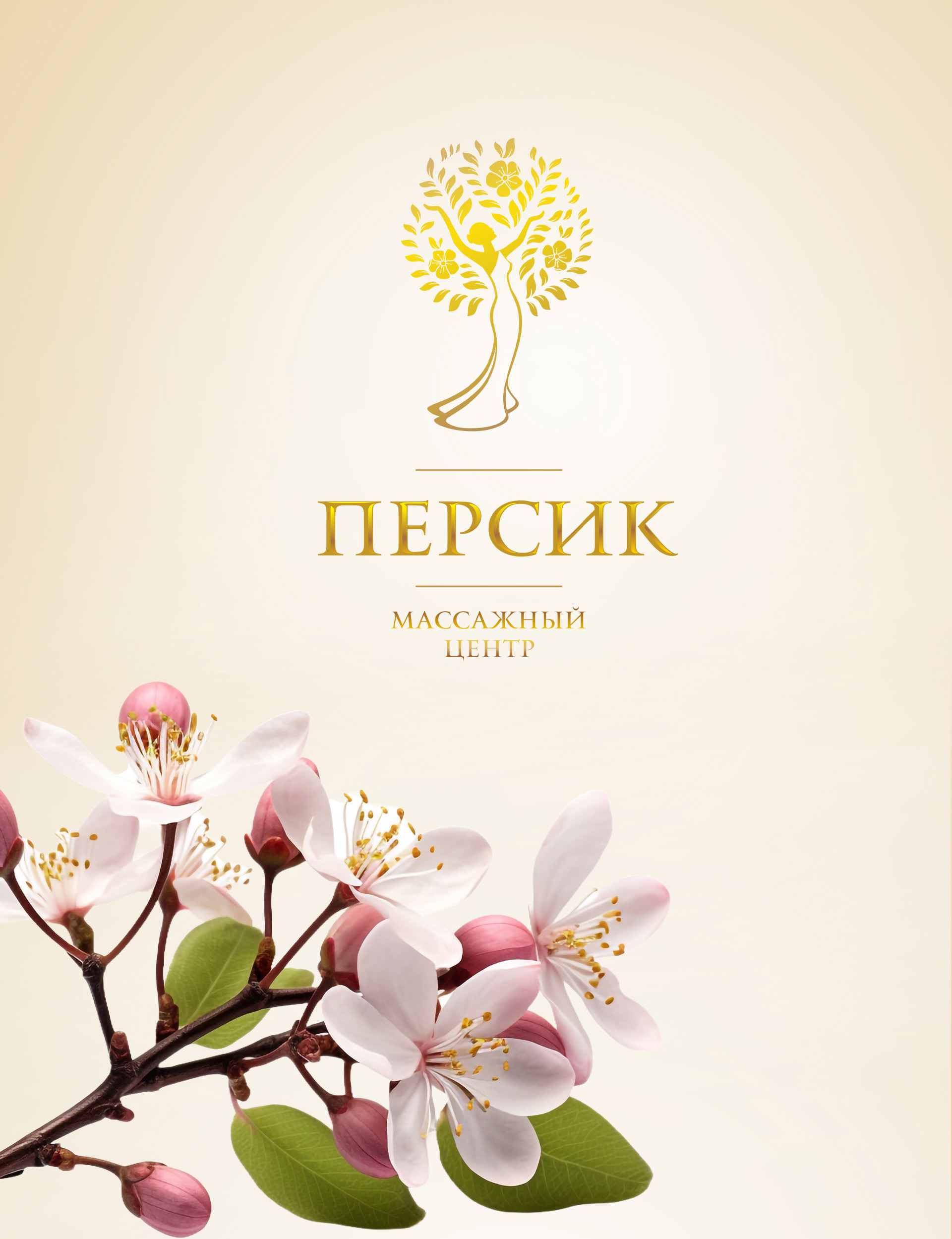 Brand identity for massage center "Peach" — Изображение №1 — Брендинг, Маркетинг на Dprofile