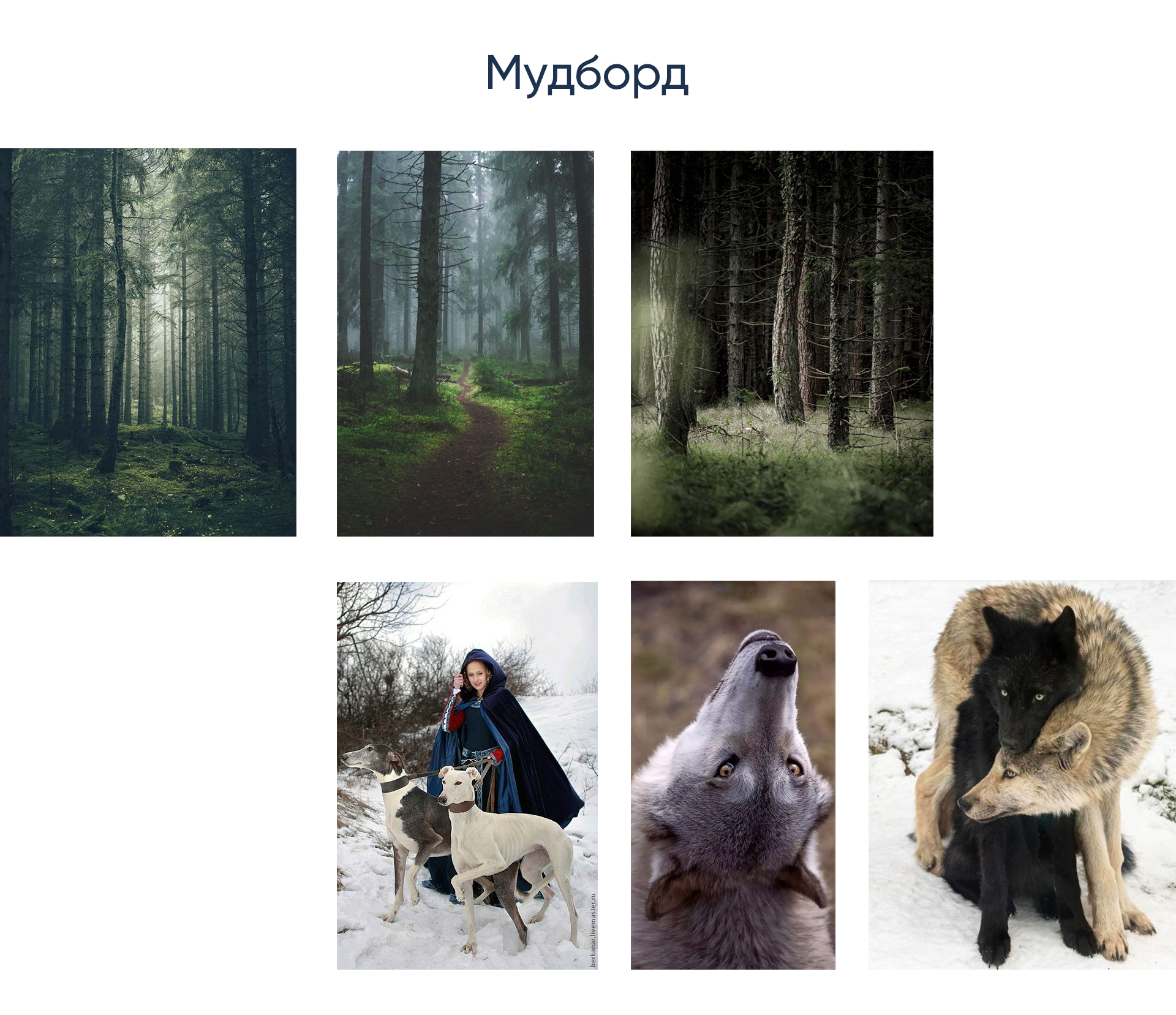 Иллюстрации и обложка к сказке "Красная шапочка" — Изображение №3 — Иллюстрация, Графика на Dprofile