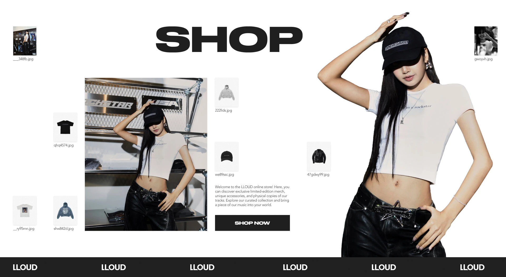 Lloud by Lisa (Website Redesign Concept) — Изображение №9 — Интерфейсы на Dprofile