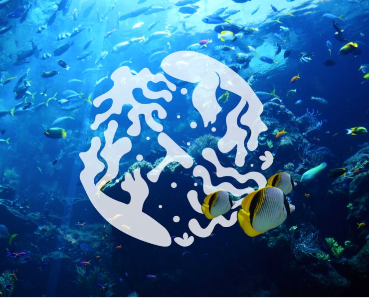 Brand guideline Garmonia aqua- studio — Брендинг на Dprofile