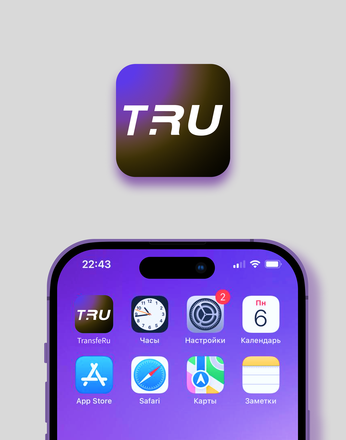 TransfeRu - Fintech website & branding — Изображение №8 — Интерфейсы, Брендинг на Dprofile