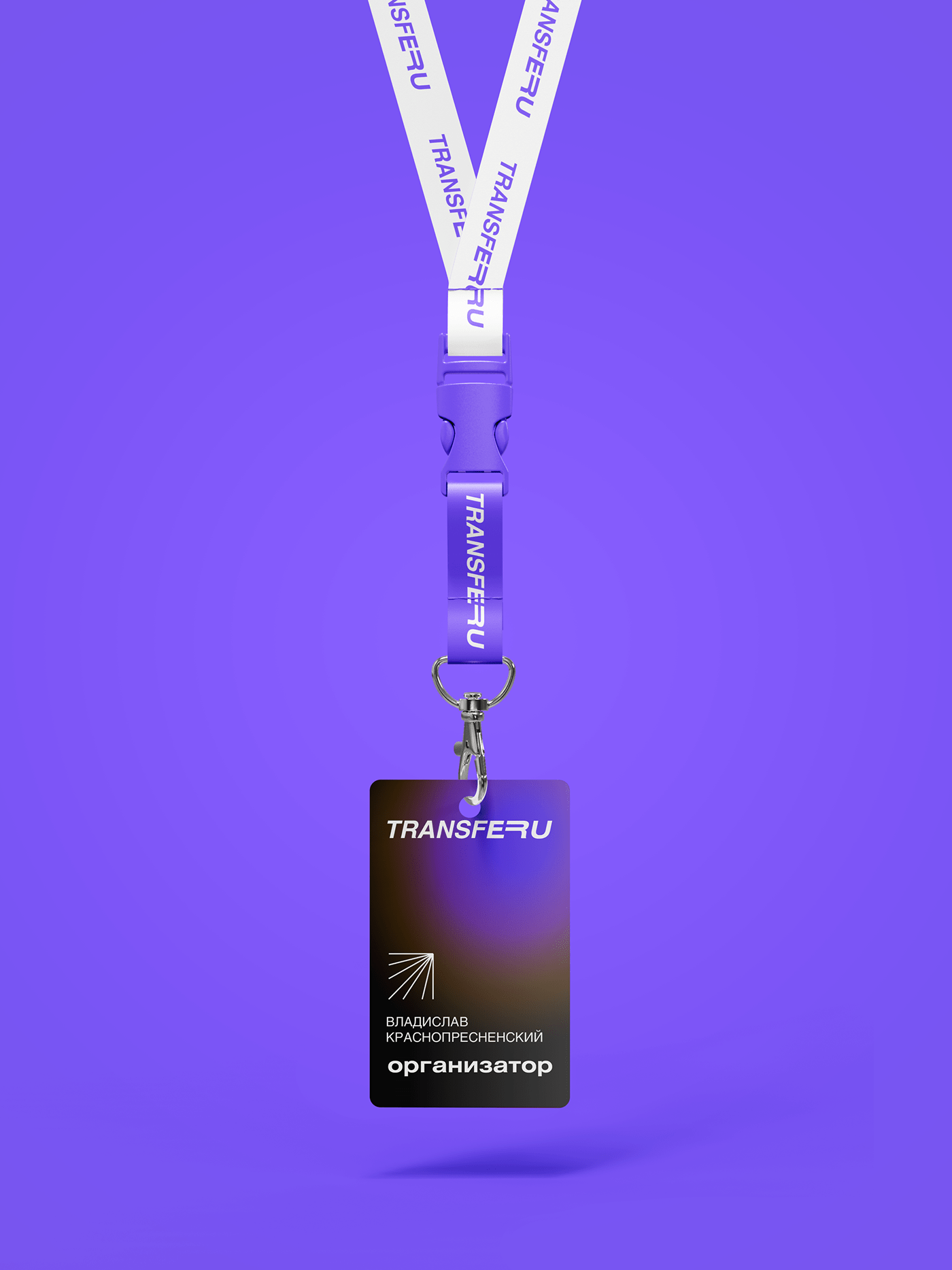 TransfeRu - Fintech website & branding — Изображение №12 — Интерфейсы, Брендинг на Dprofile