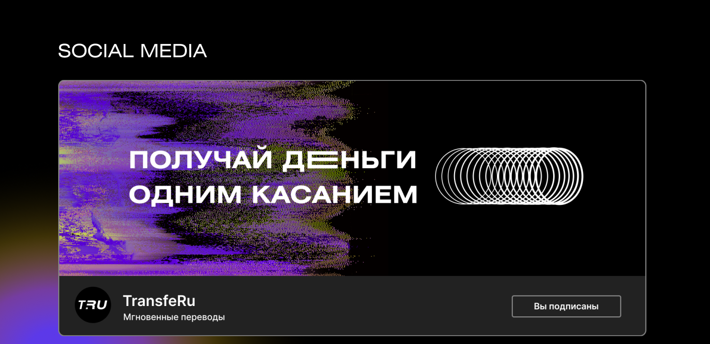 TransfeRu - Fintech website & branding — Изображение №14 — Интерфейсы, Брендинг на Dprofile