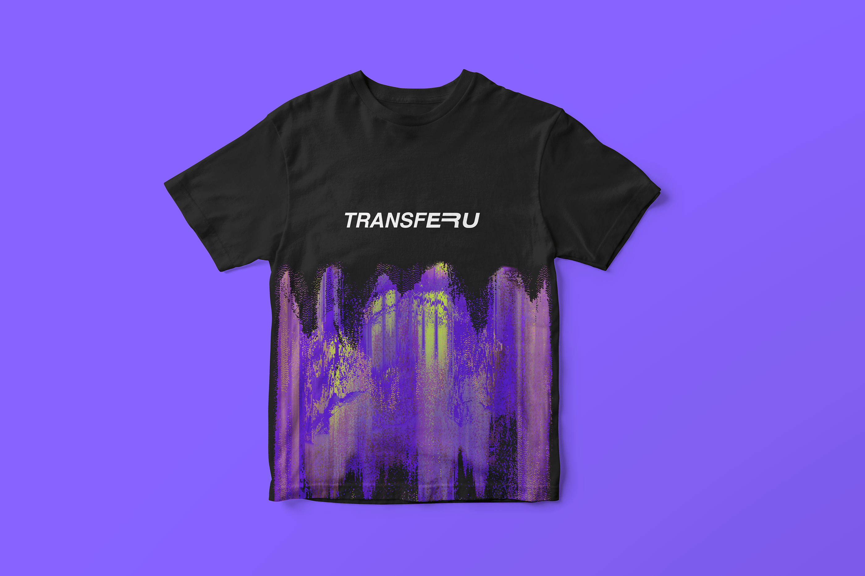 TransfeRu - Fintech website & branding — Изображение №13 — Интерфейсы, Брендинг на Dprofile