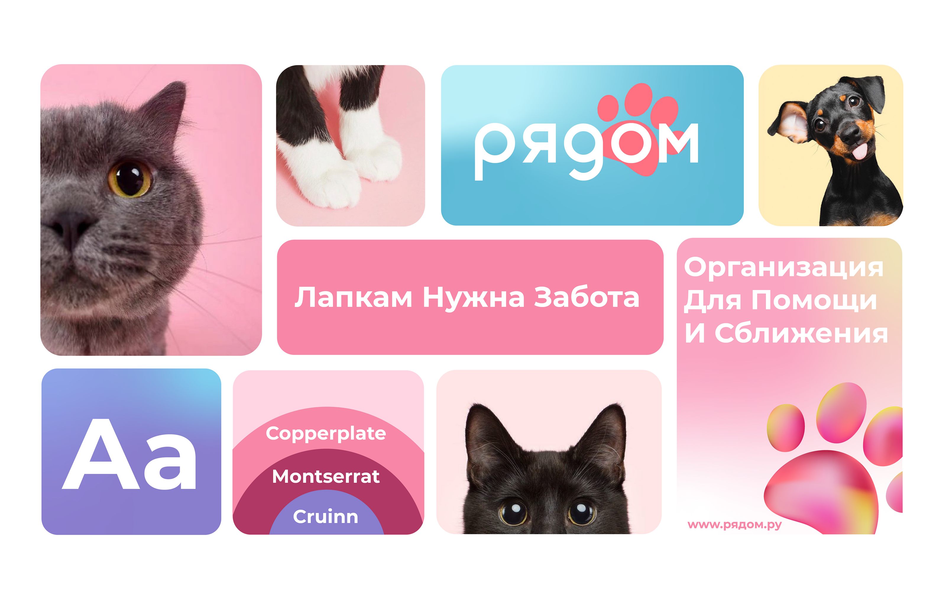 Helping animals - RYADOM — Изображение №2 — Брендинг на Dprofile