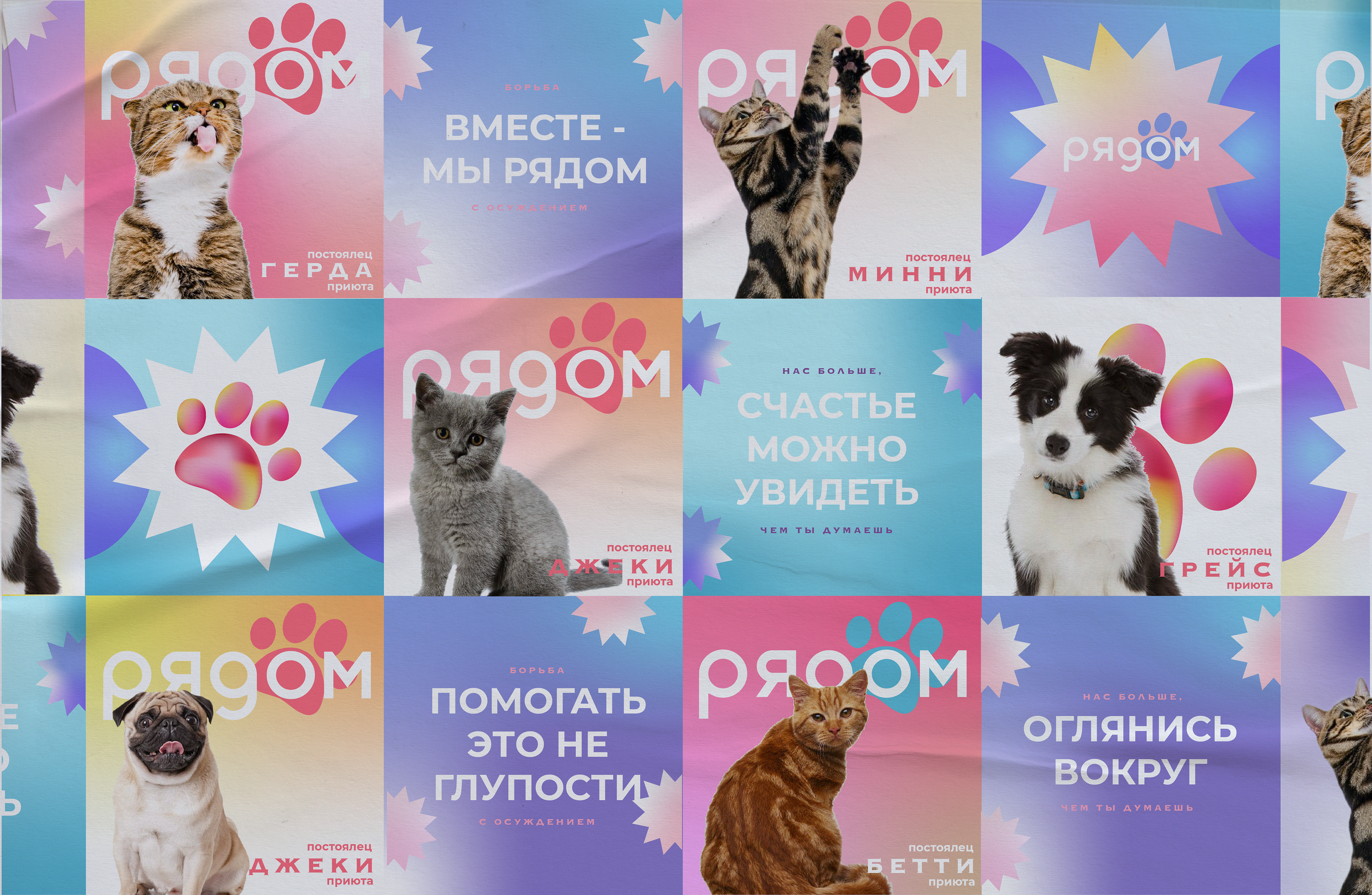 Helping animals - RYADOM — Изображение №6 — Брендинг на Dprofile
