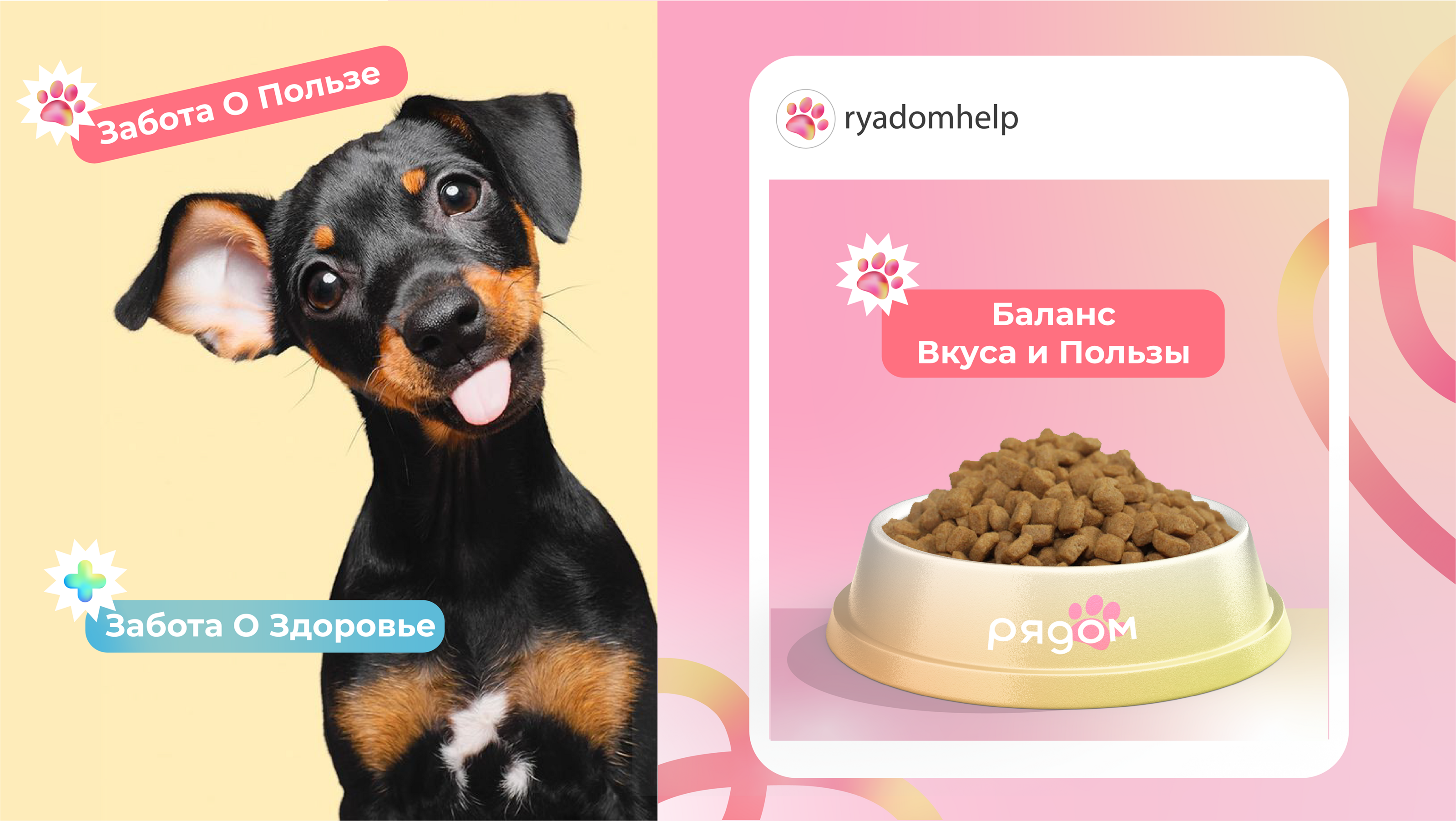 Helping animals - RYADOM — Изображение №3 — Брендинг на Dprofile