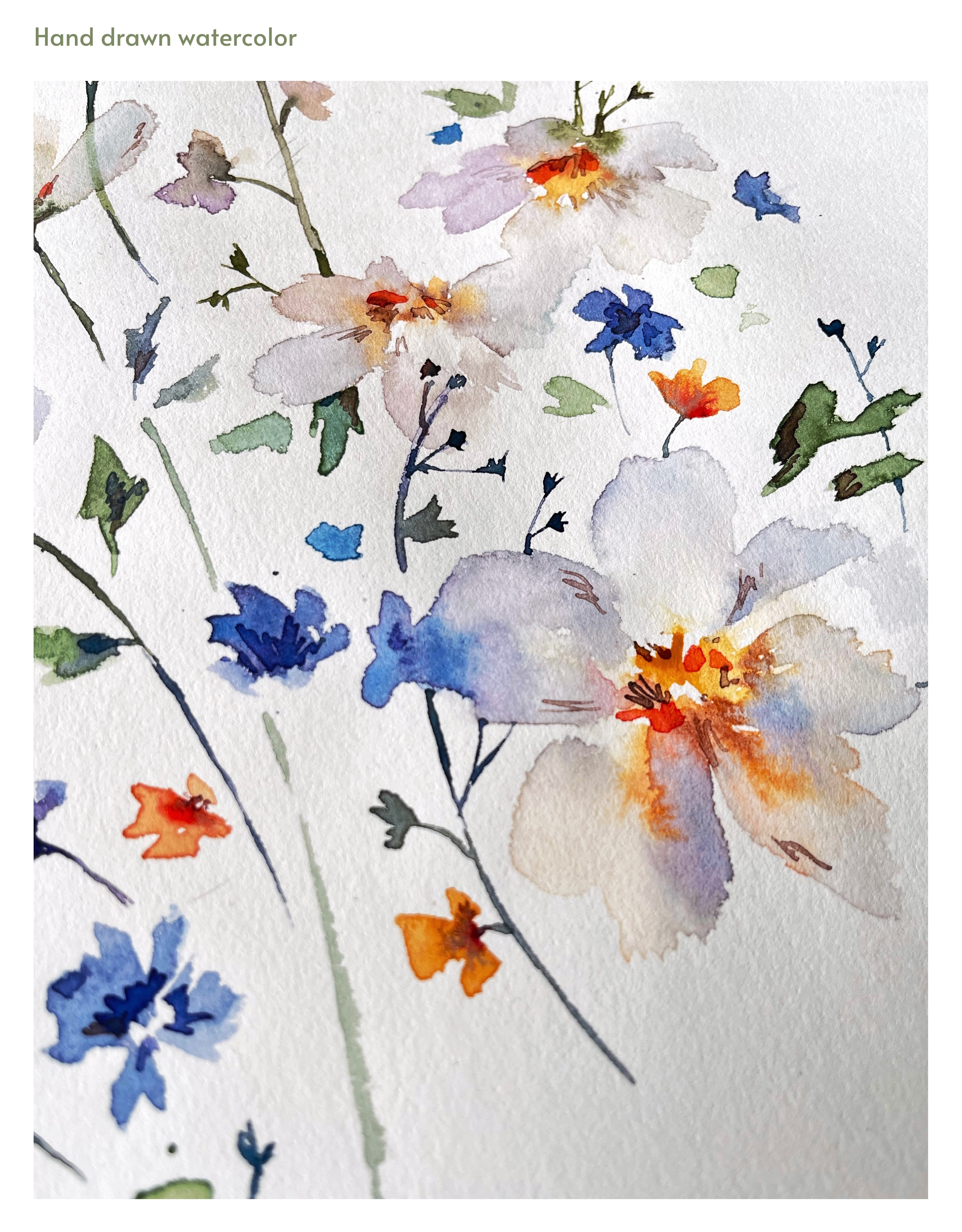 Gentle romantic pattern with watercolor meadow flowers — Изображение №1 — Иллюстрация на Dprofile