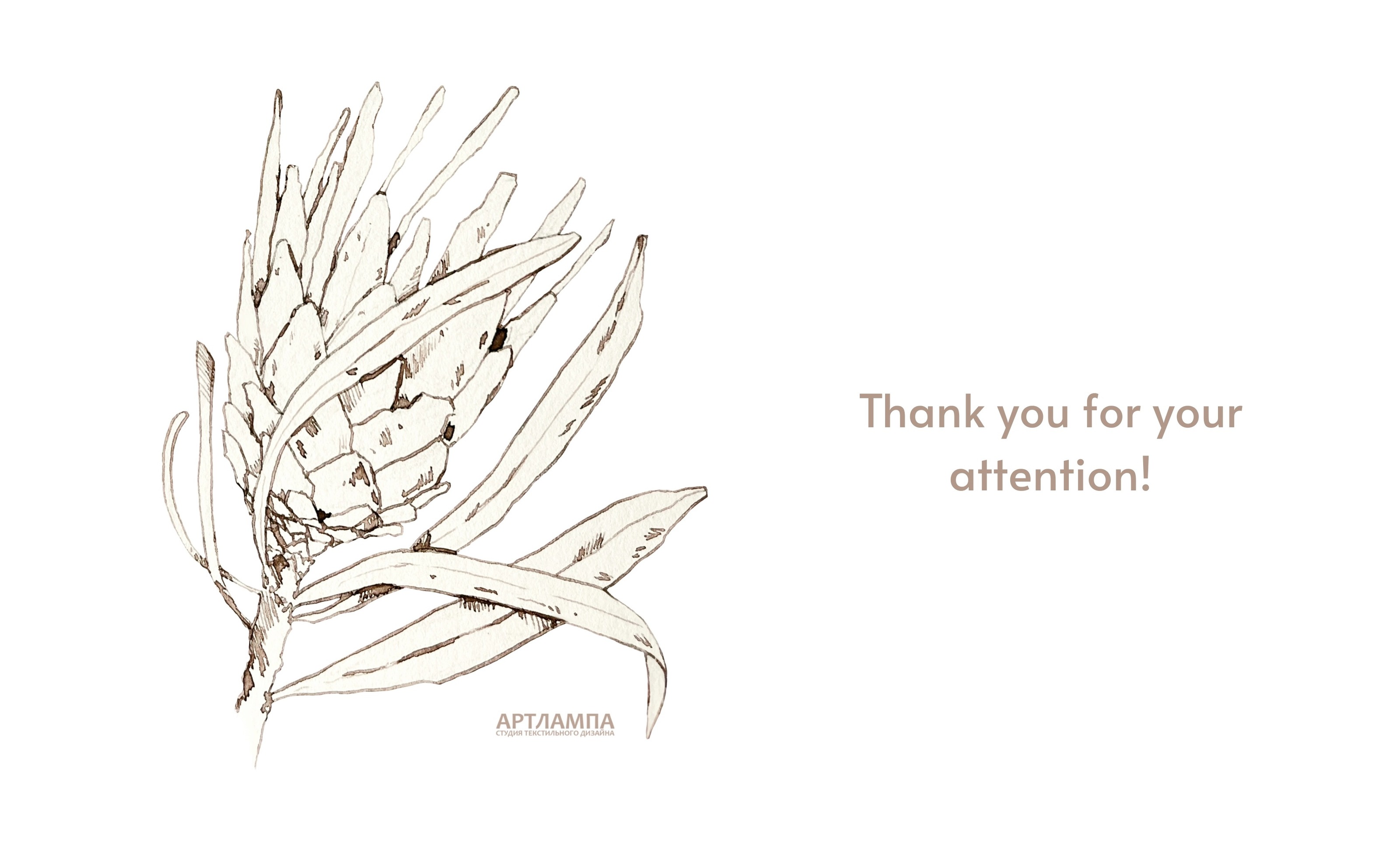 Pattern with watercolor tropical protea flower — Изображение №8 — Иллюстрация на Dprofile