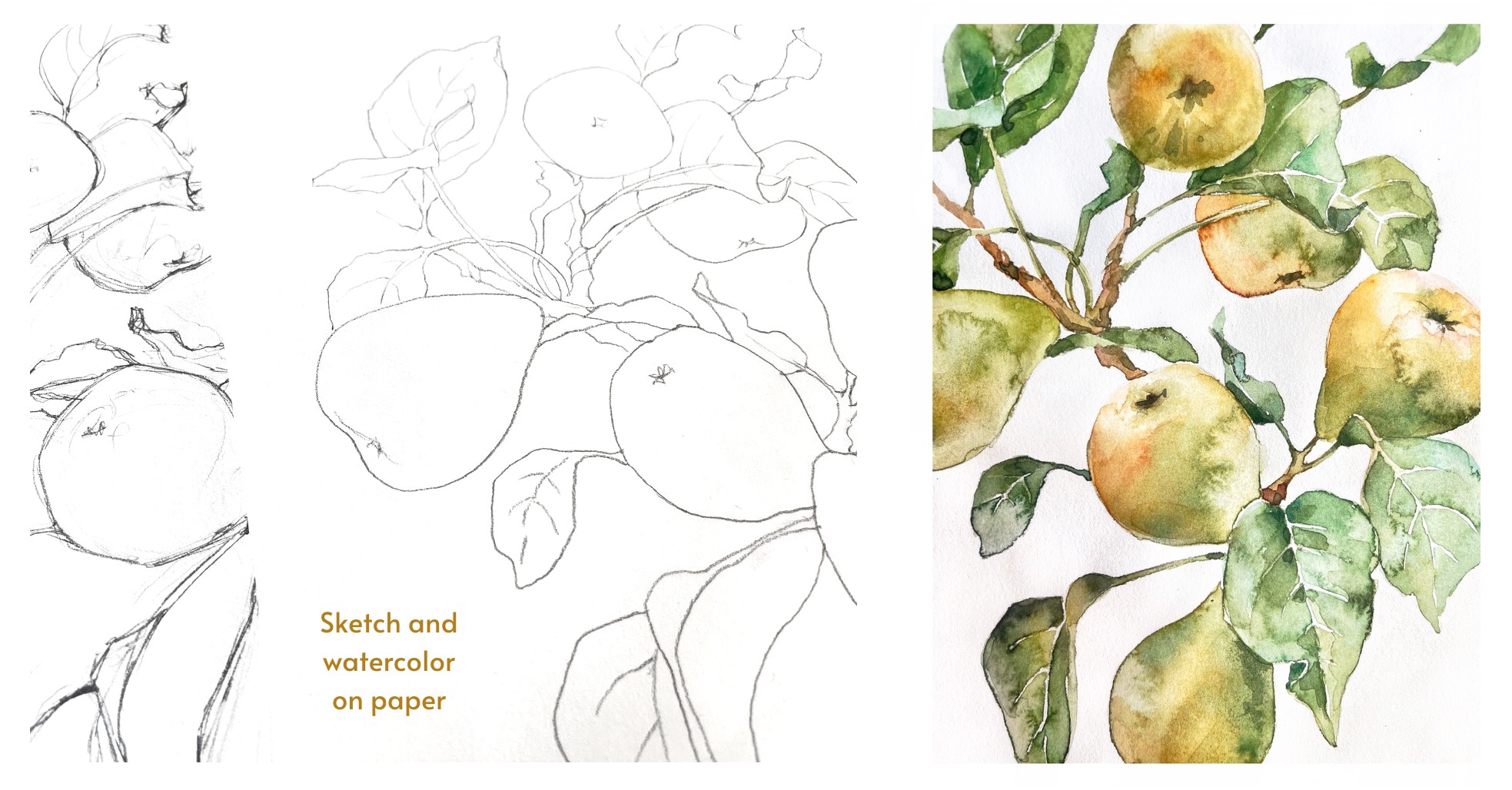Seamless pattern with hand drawn watercolor pears — Изображение №1 — Иллюстрация на Dprofile