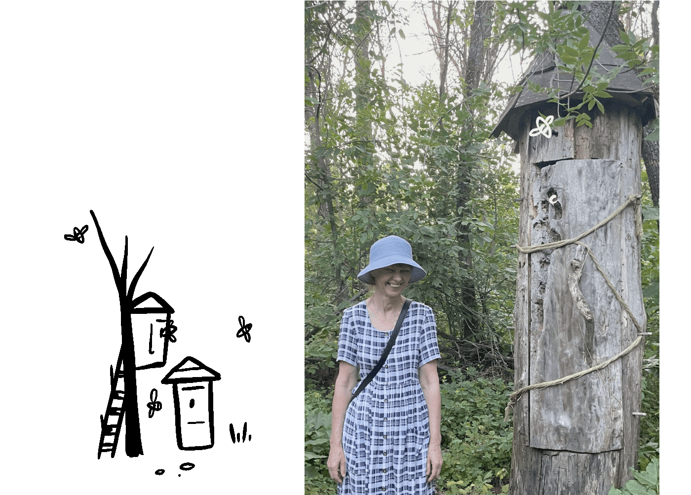 Карта ландшафтно-природного парка Ломы — Изображение №19 — Иллюстрация, Анимация на Dprofile