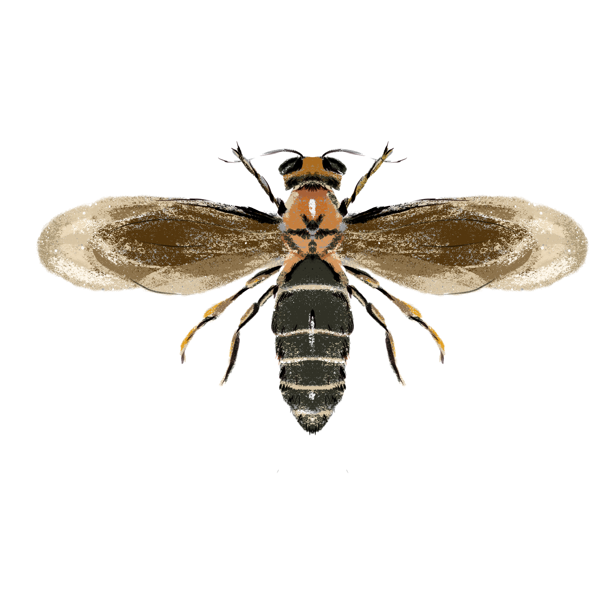 Заповедные территории — Изображение №18 — Иллюстрация, Графика на Dprofile