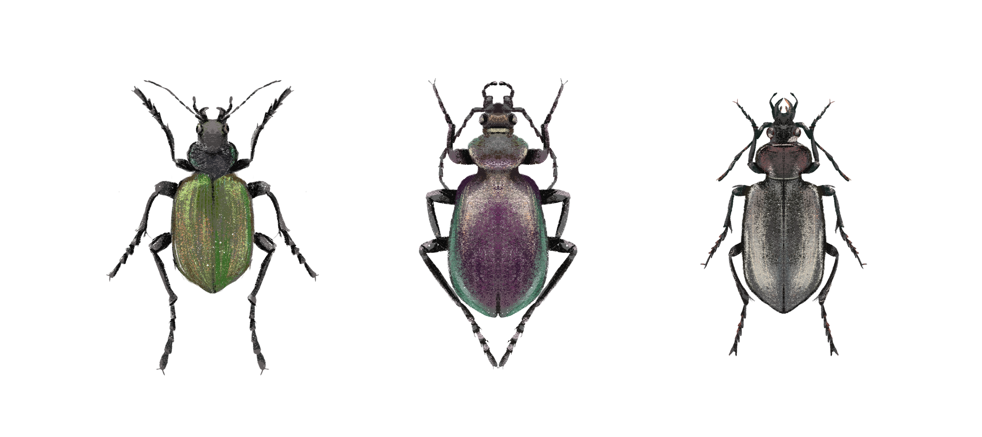 Заповедные территории — Изображение №7 — Иллюстрация, Графика на Dprofile