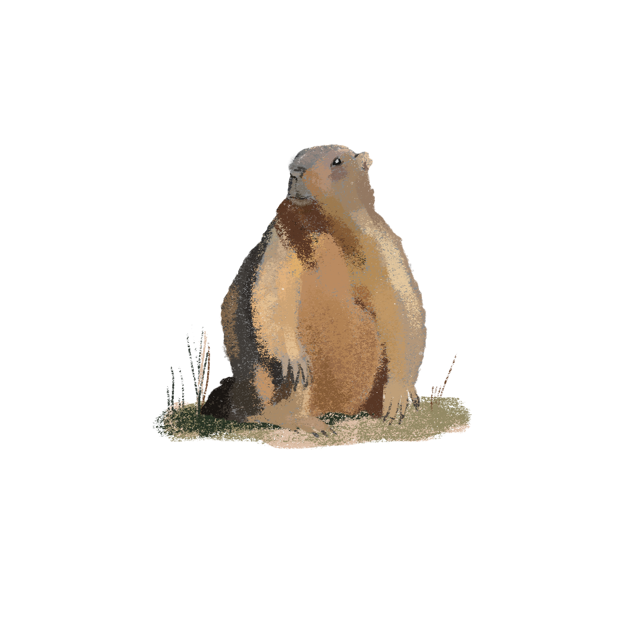 Заповедные территории — Изображение №3 — Иллюстрация, Графика на Dprofile