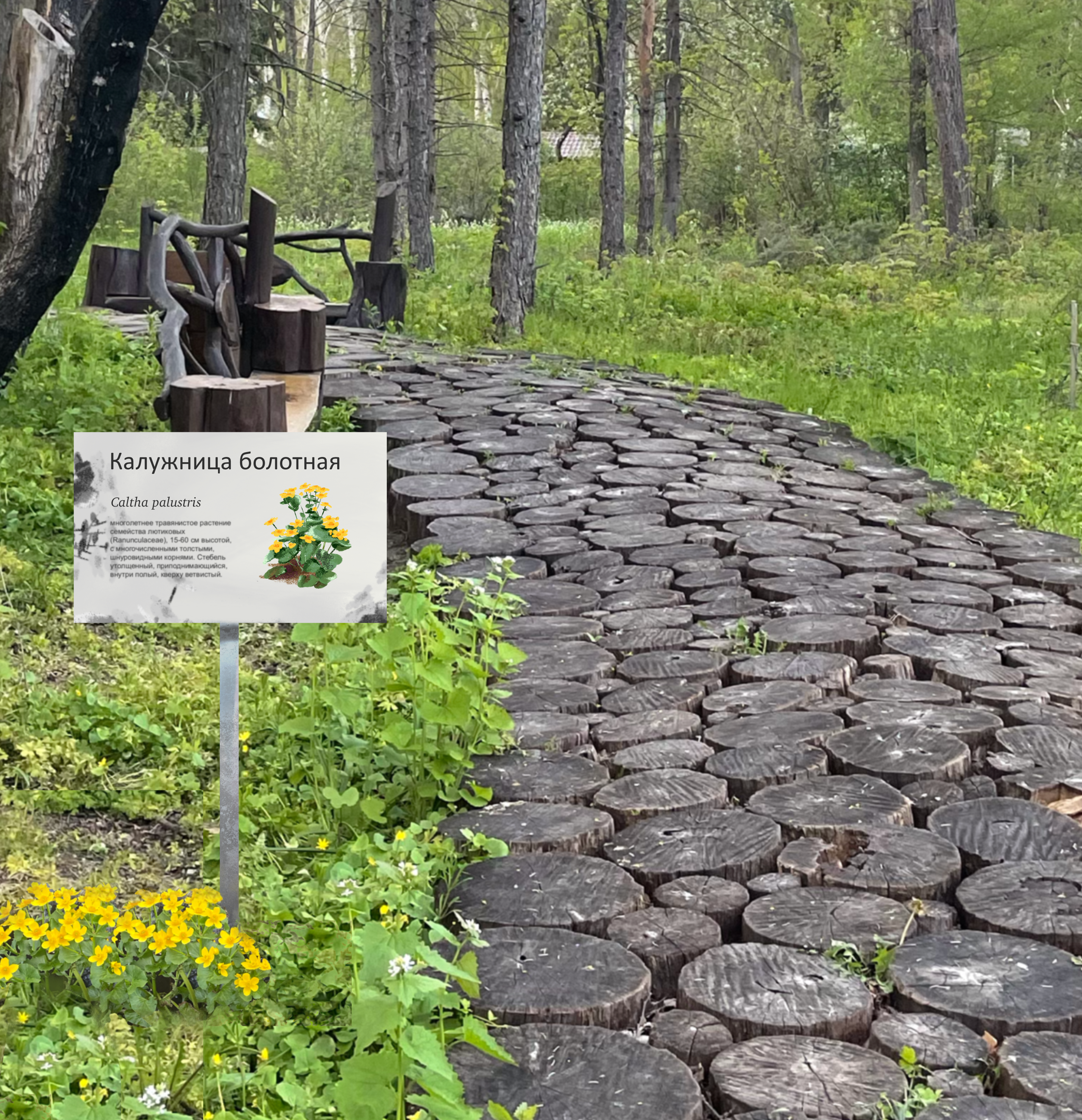 Заповедные территории — Изображение №22 — Иллюстрация, Графика на Dprofile