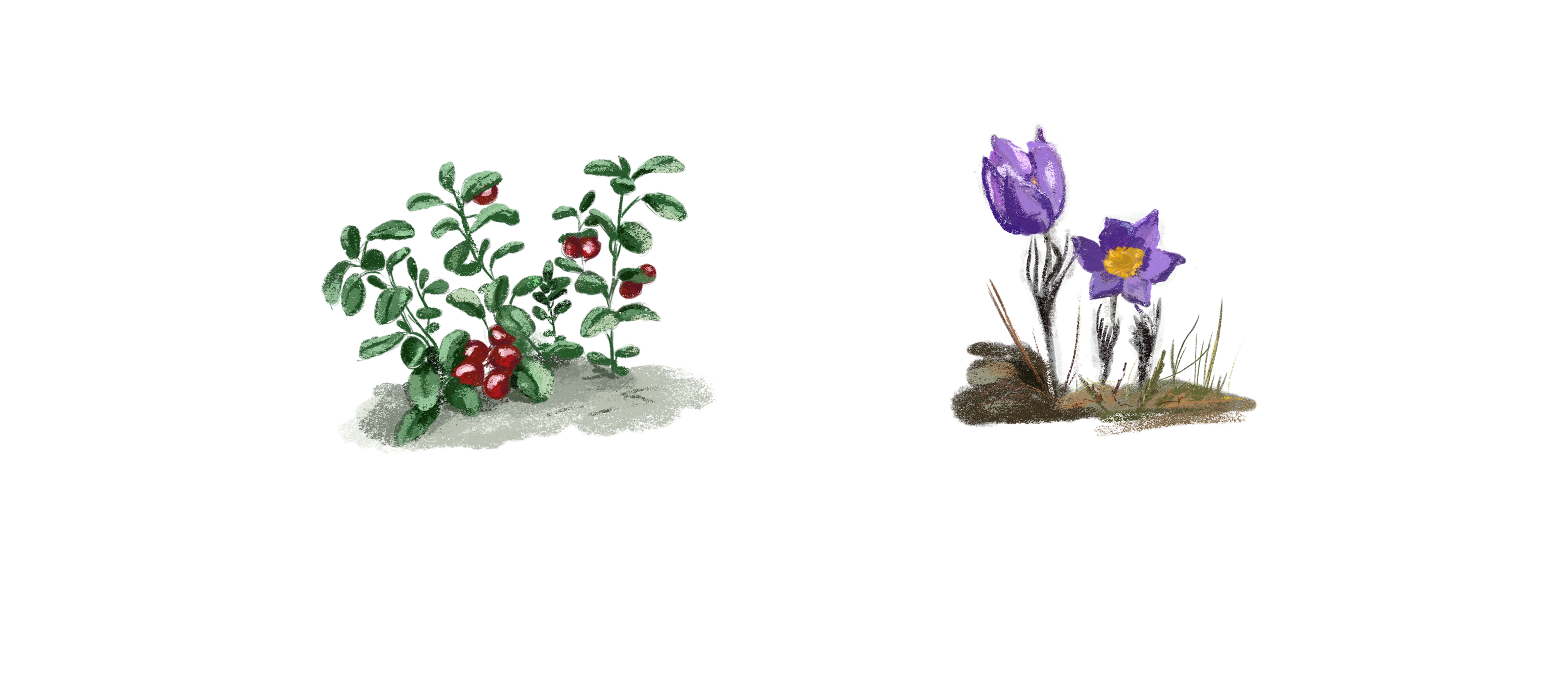 Заповедные территории — Изображение №24 — Иллюстрация, Графика на Dprofile