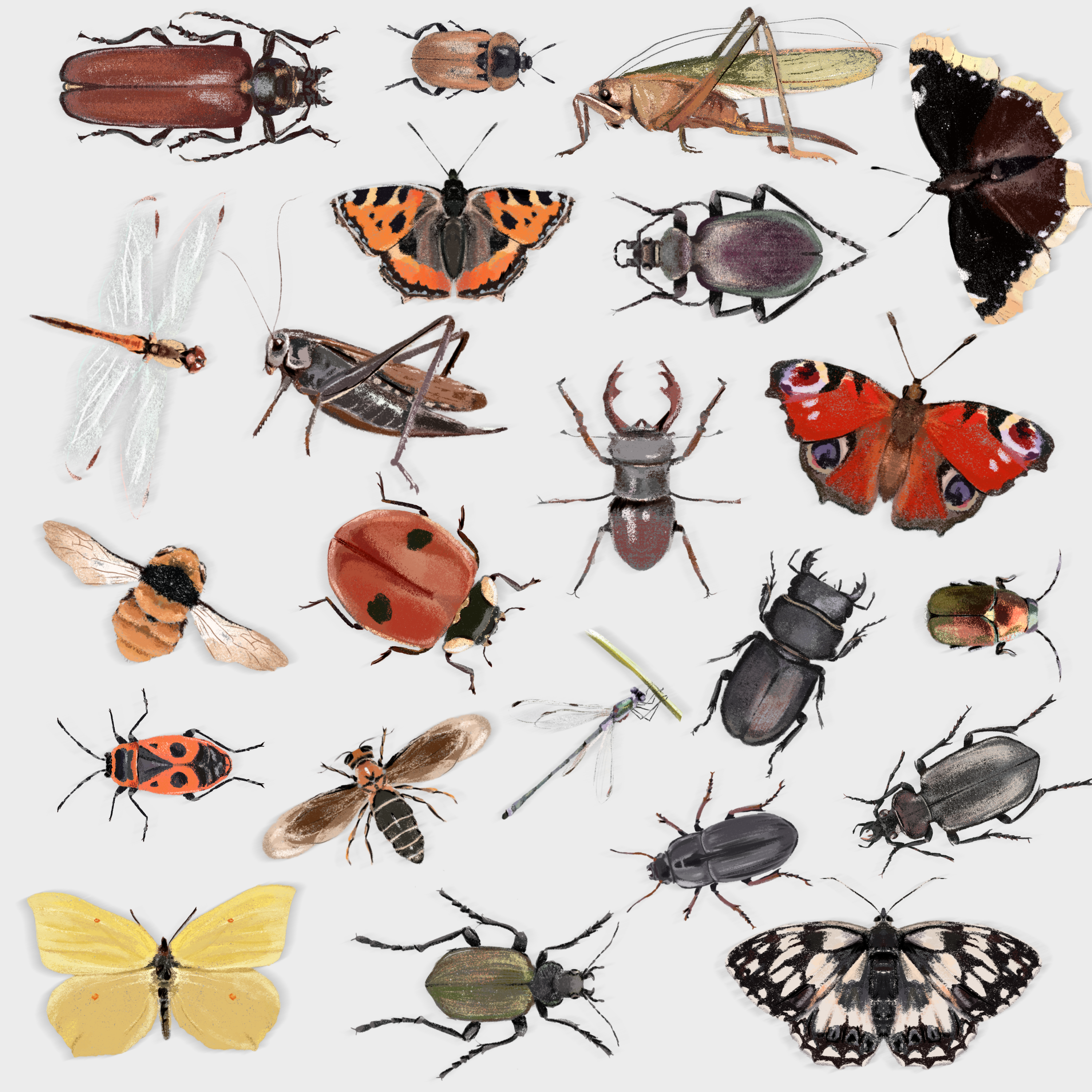 Заповедные территории — Изображение №25 — Иллюстрация, Графика на Dprofile