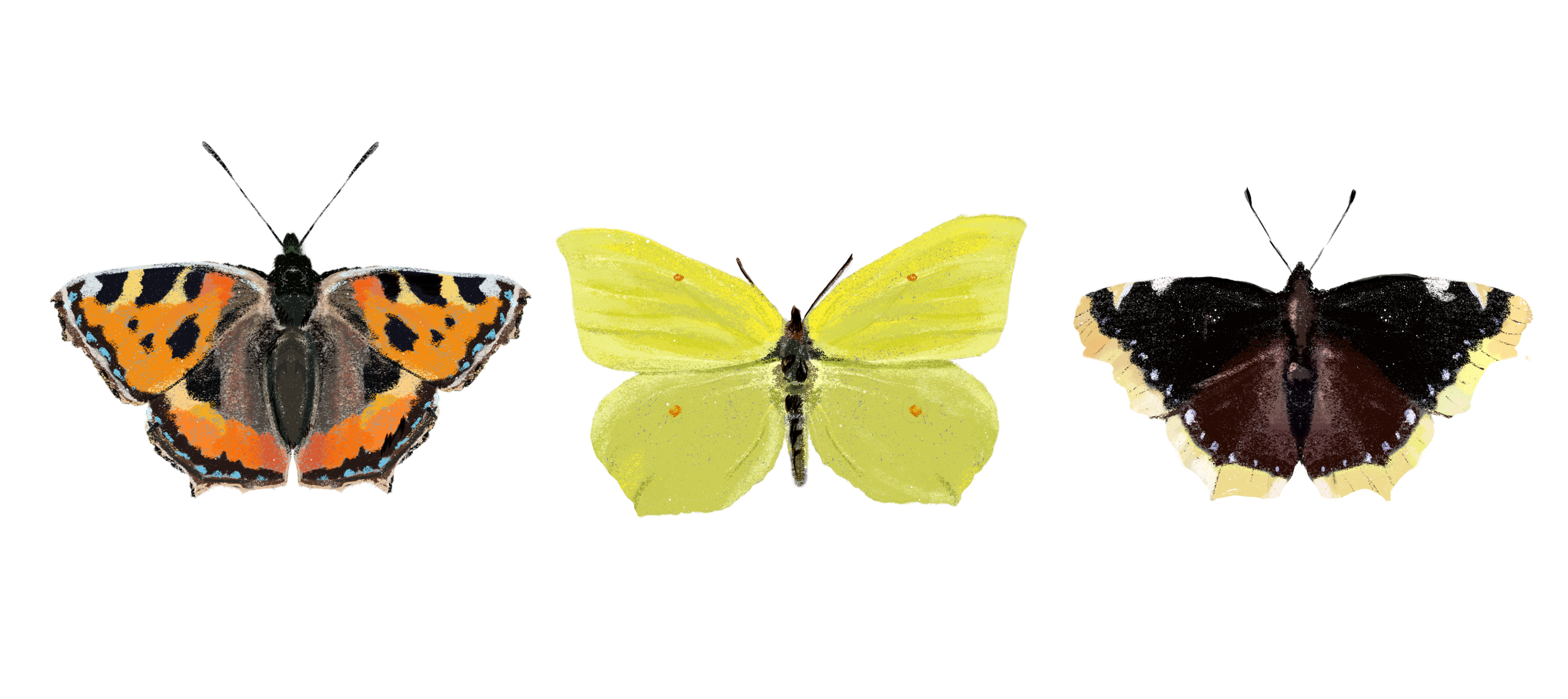 Заповедные территории — Изображение №19 — Иллюстрация, Графика на Dprofile