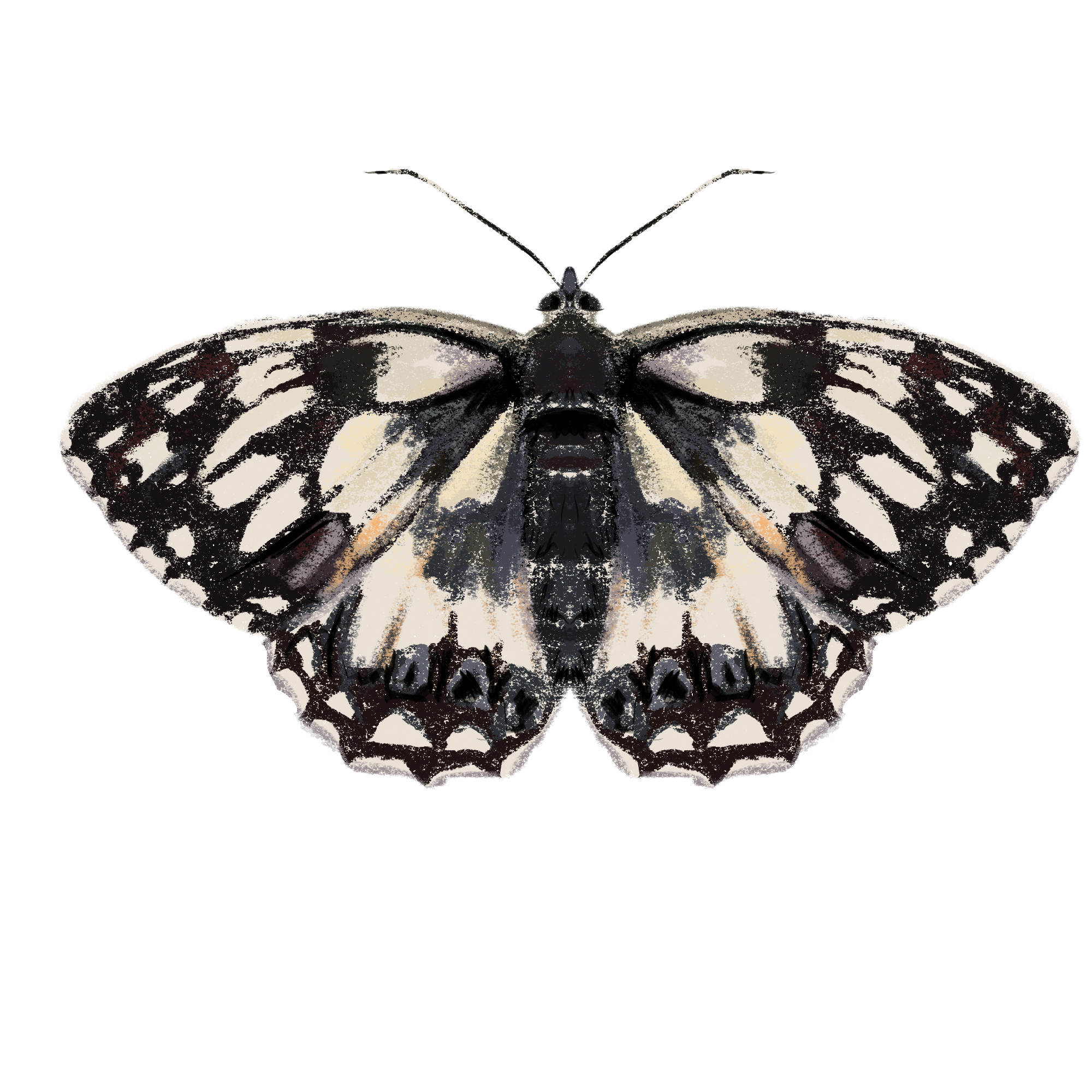 Заповедные территории — Изображение №21 — Иллюстрация, Графика на Dprofile