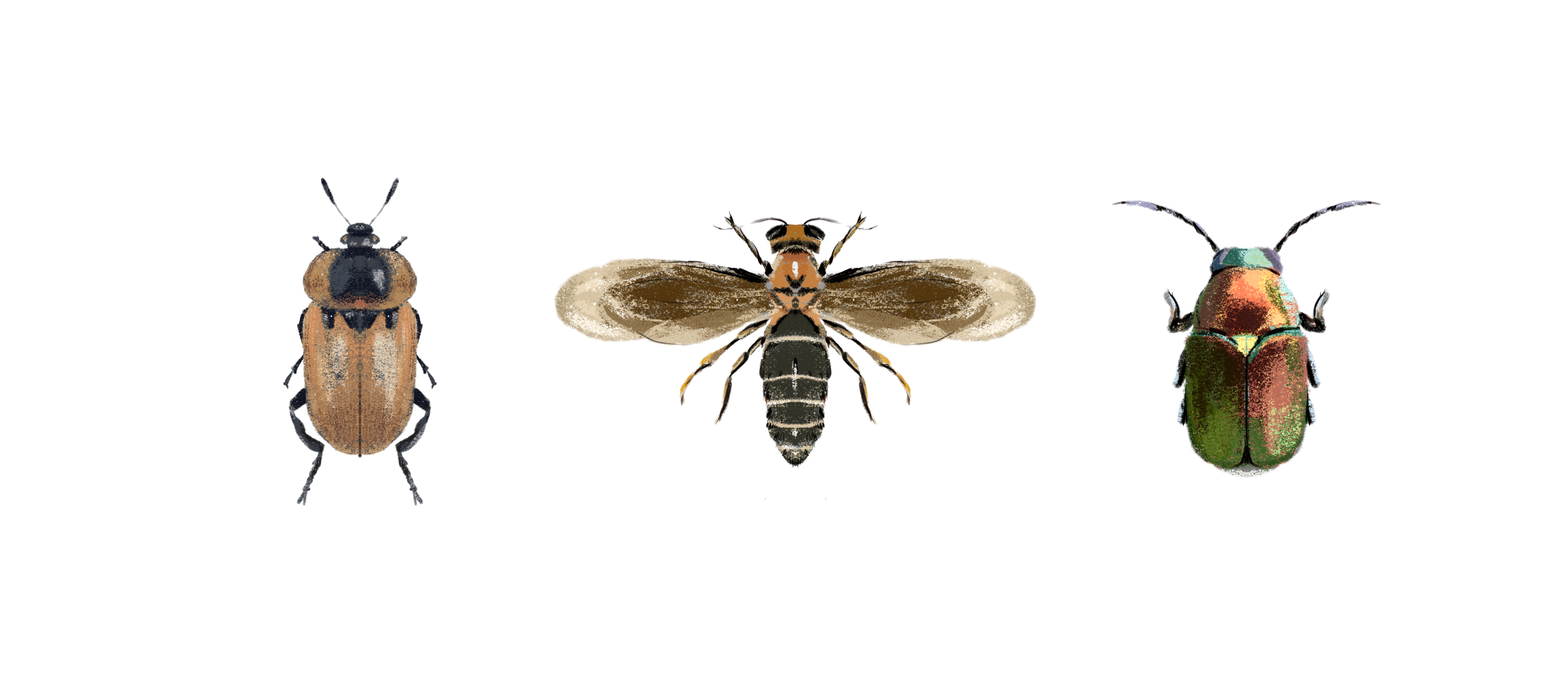 Заповедные территории — Изображение №11 — Иллюстрация, Графика на Dprofile