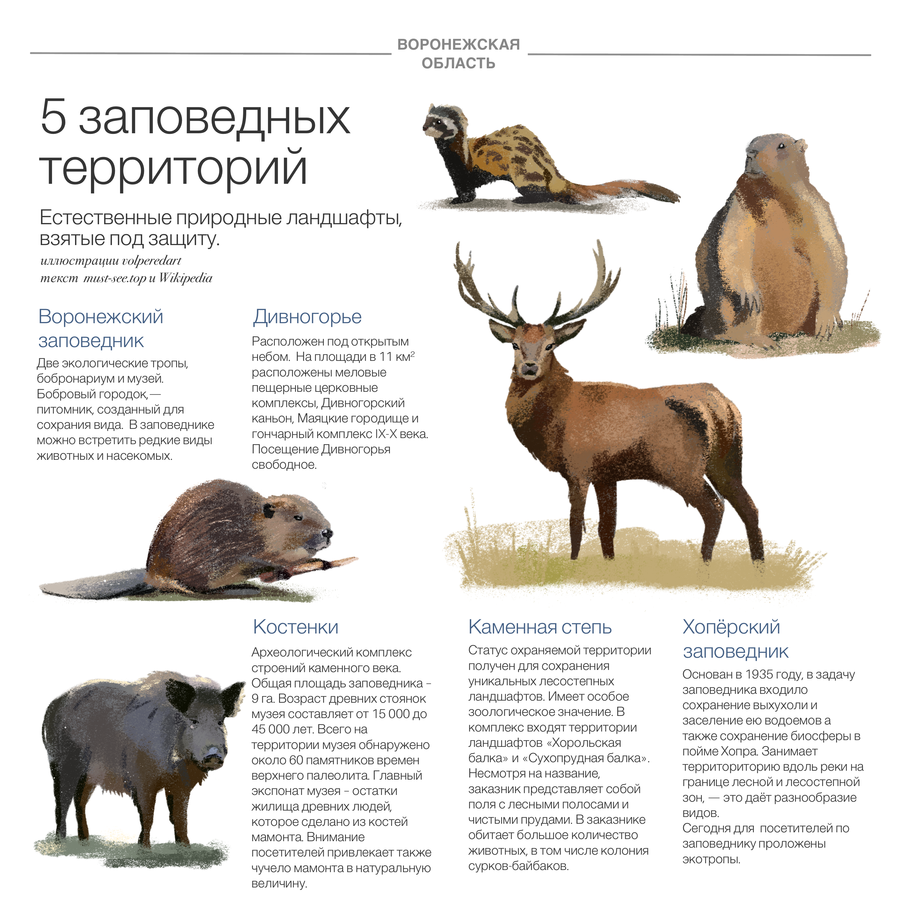 Заповедные территории — Изображение №1 — Иллюстрация, Графика на Dprofile