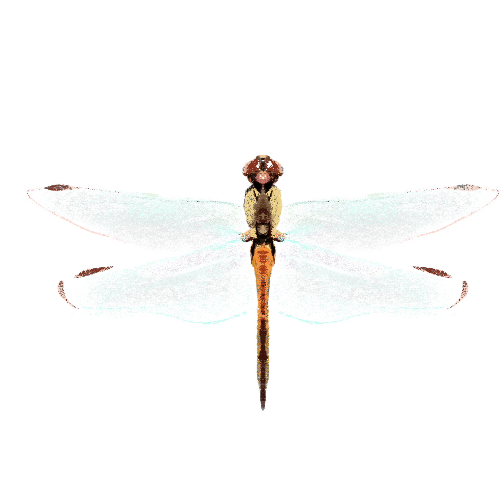 Заповедные территории — Изображение №15 — Иллюстрация, Графика на Dprofile