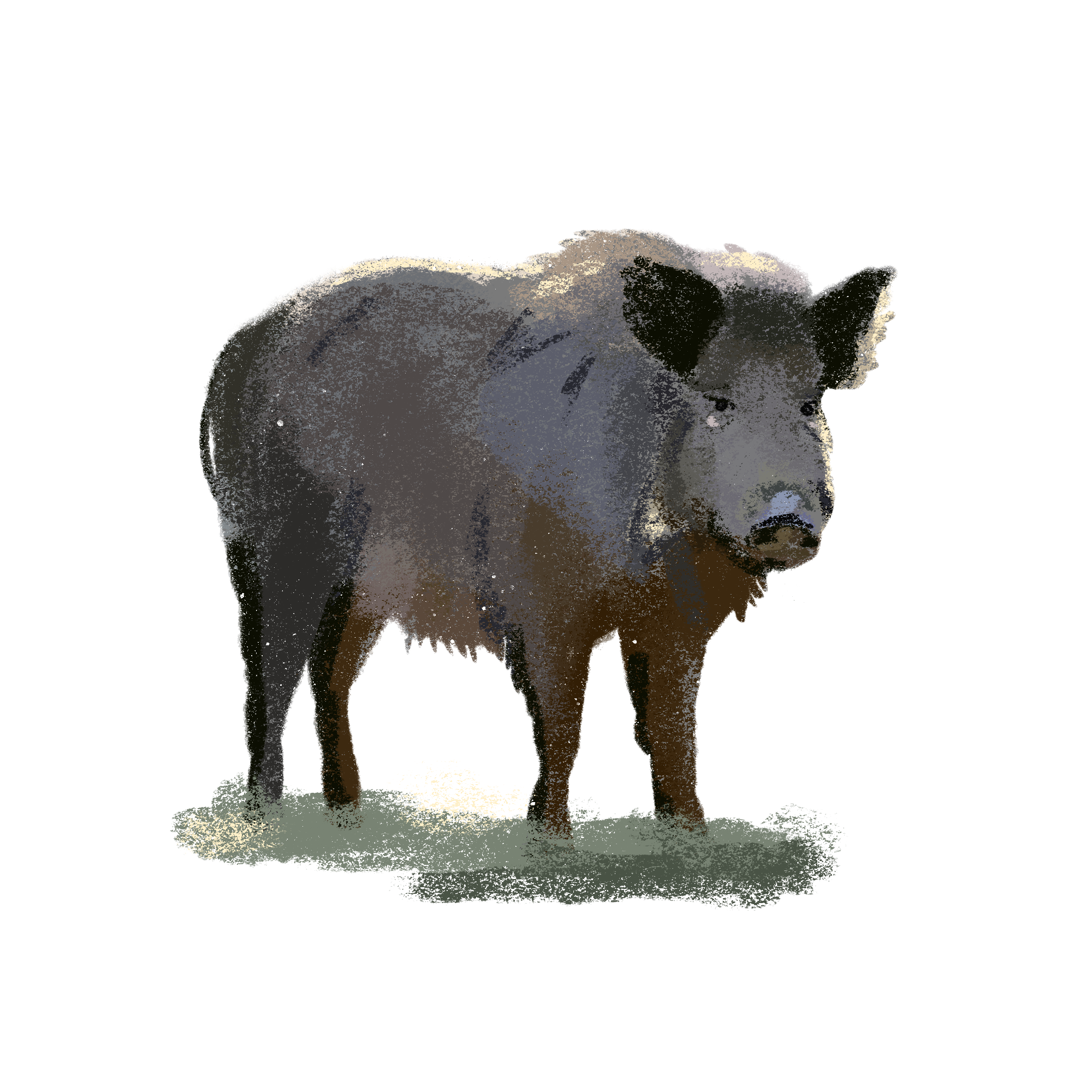 Заповедные территории — Изображение №2 — Иллюстрация, Графика на Dprofile