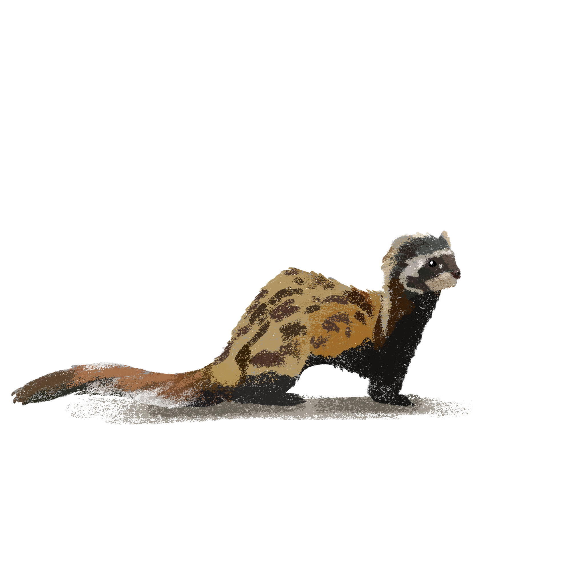 Заповедные территории — Изображение №5 — Иллюстрация, Графика на Dprofile