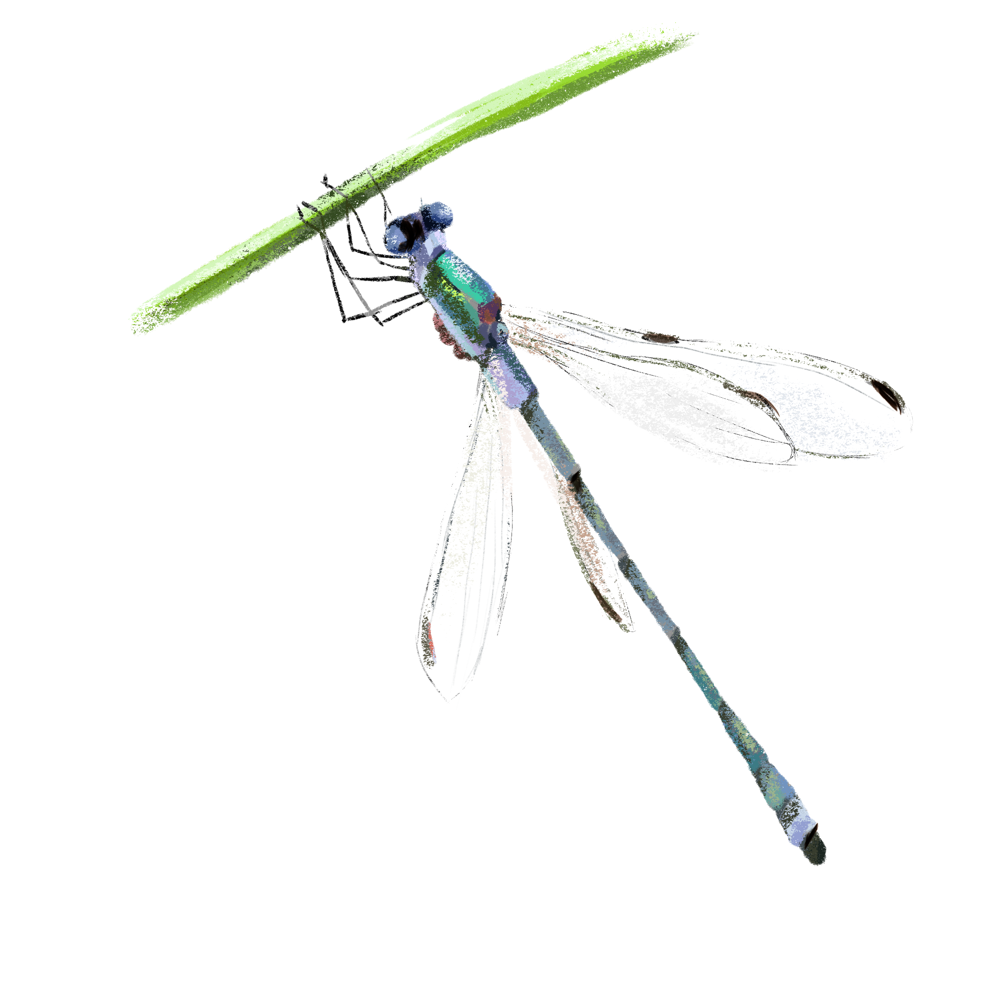 Заповедные территории — Изображение №16 — Иллюстрация, Графика на Dprofile