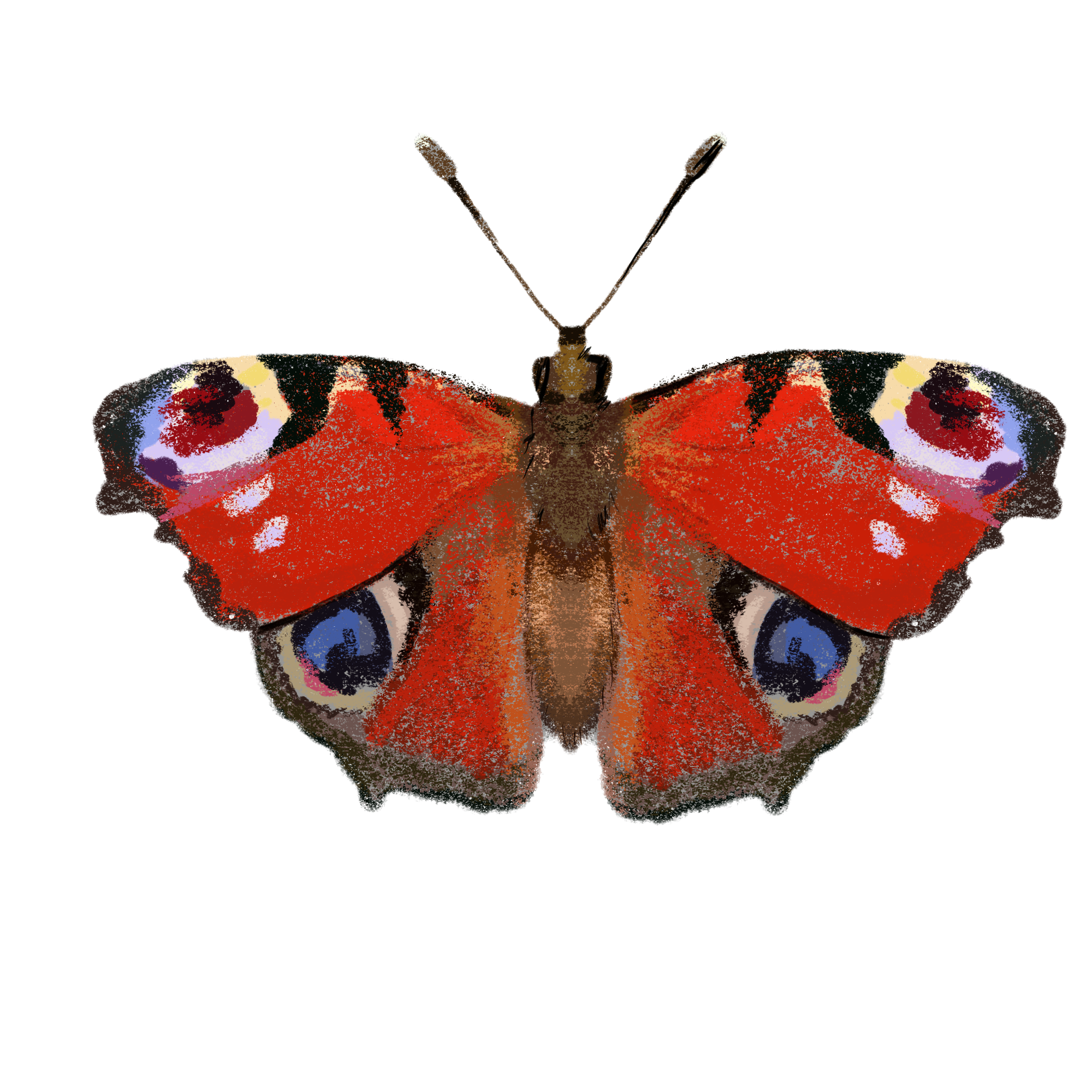 Заповедные территории — Изображение №20 — Иллюстрация, Графика на Dprofile