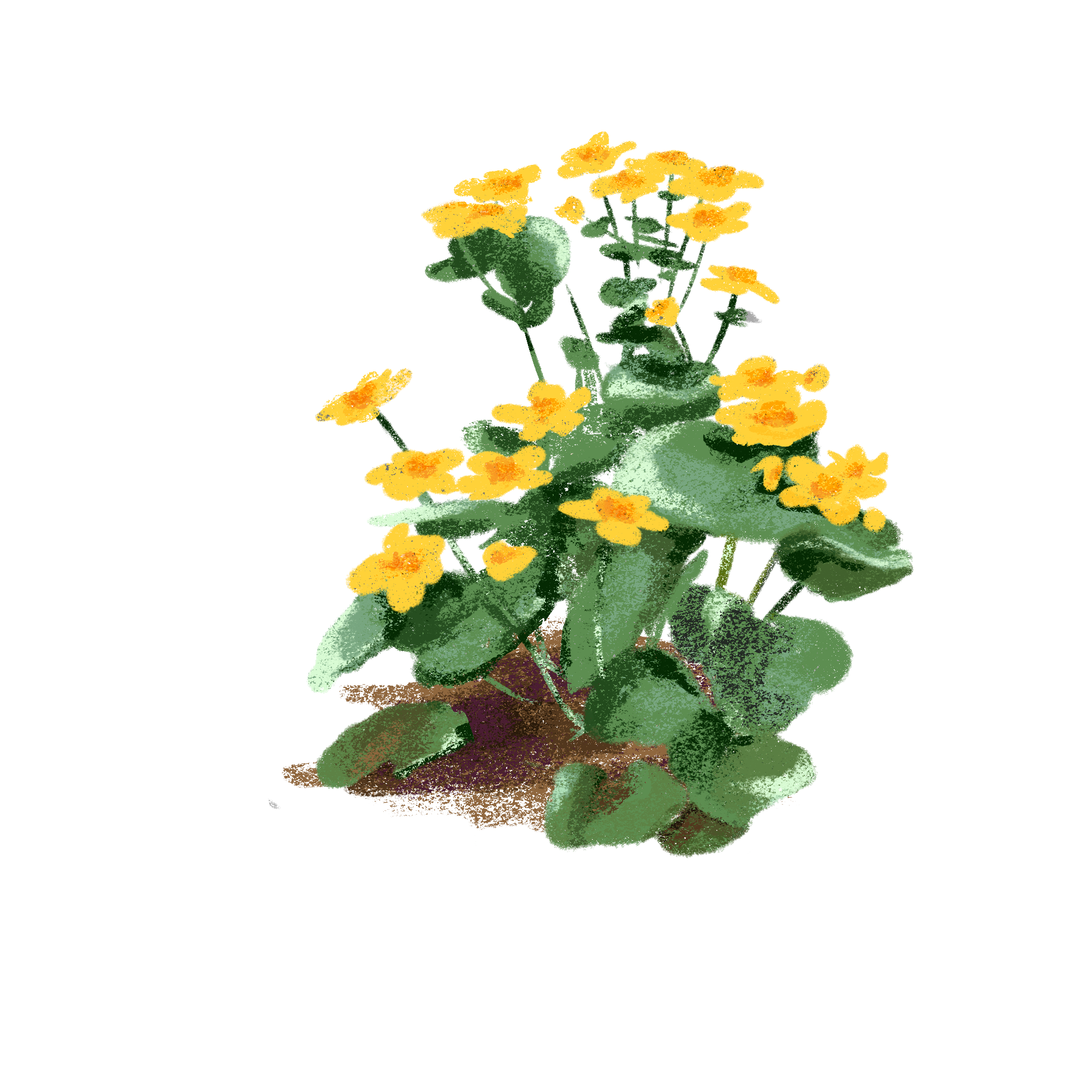 Заповедные территории — Изображение №23 — Иллюстрация, Графика на Dprofile