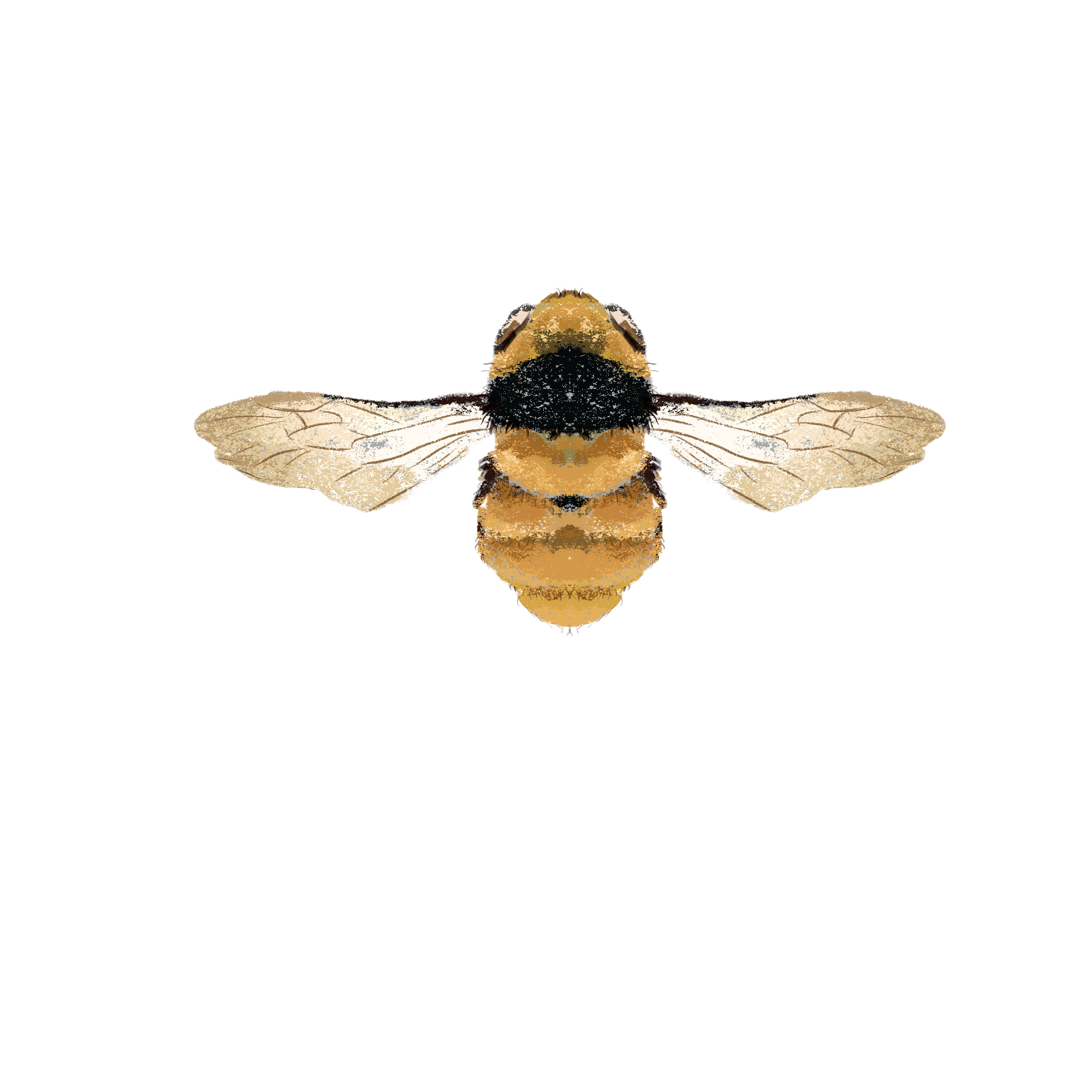 Заповедные территории — Изображение №14 — Иллюстрация, Графика на Dprofile