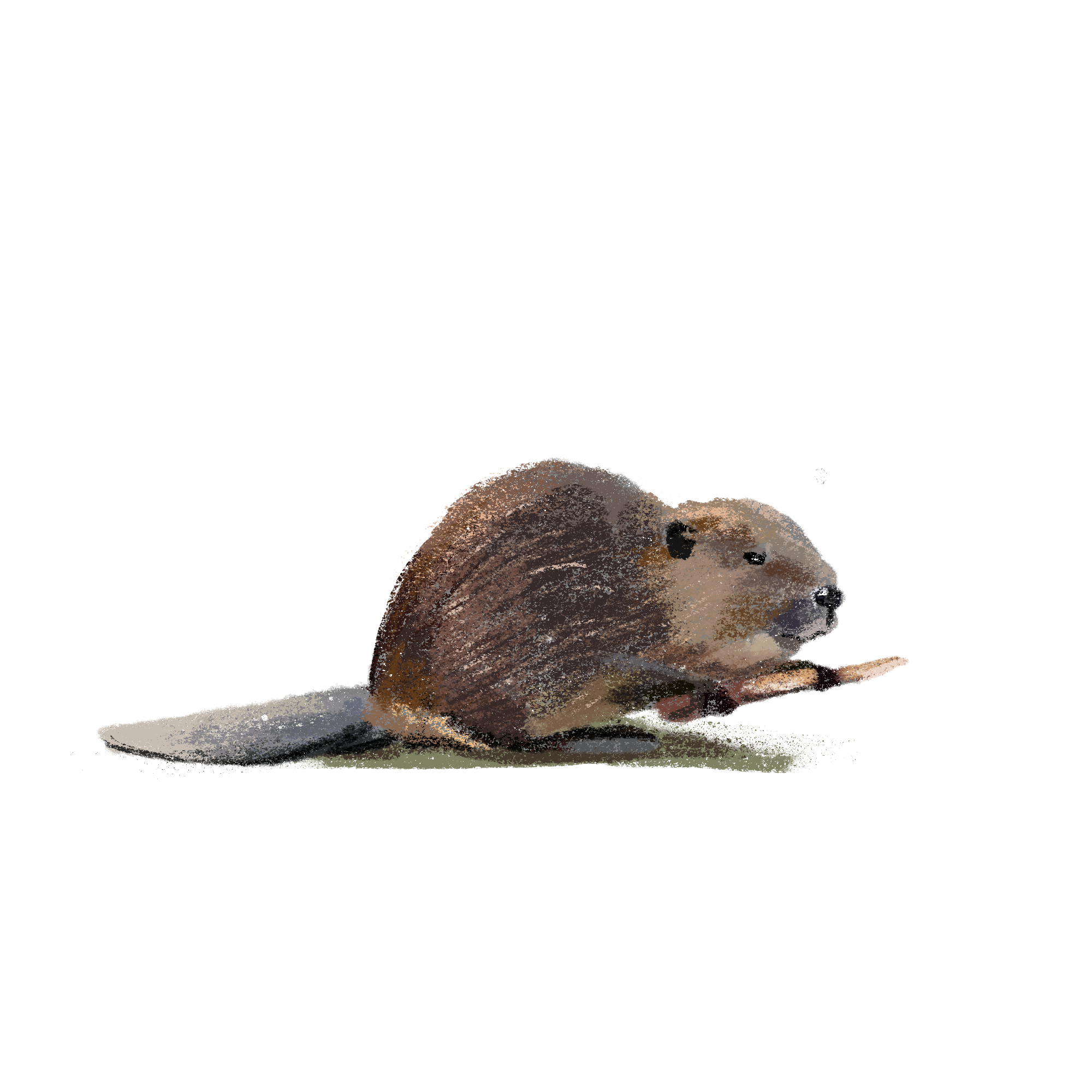 Заповедные территории — Изображение №4 — Иллюстрация, Графика на Dprofile