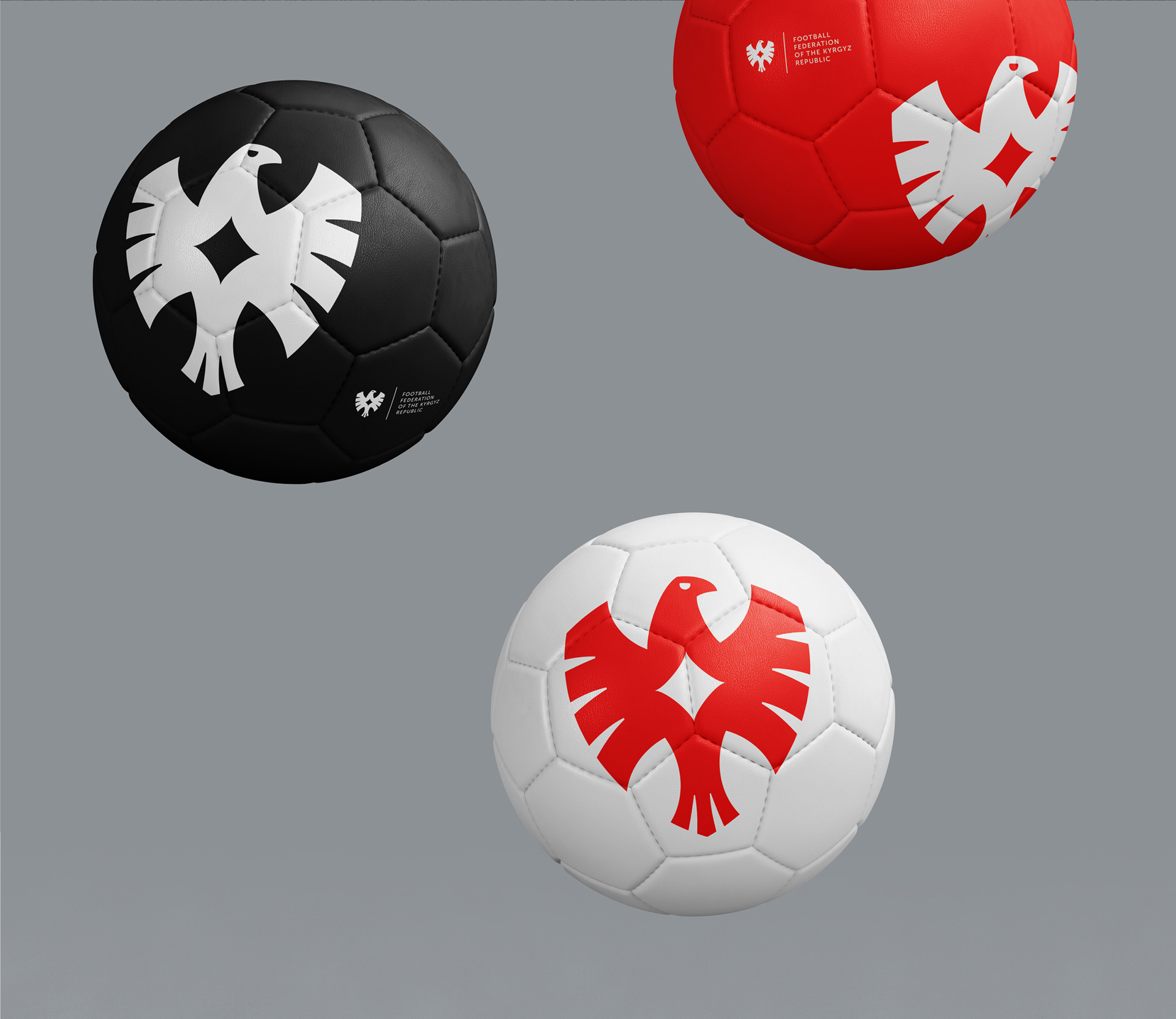 Football Federation of the Kyrgyz Republic – Rebranding — Изображение №15 — Брендинг на Dprofile