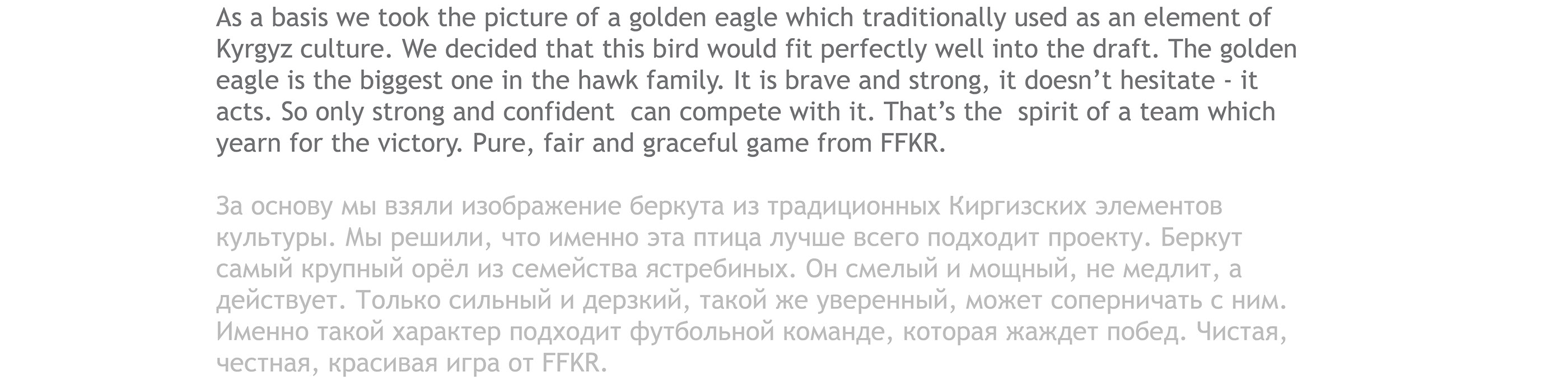 Football Federation of the Kyrgyz Republic – Rebranding — Изображение №4 — Брендинг на Dprofile