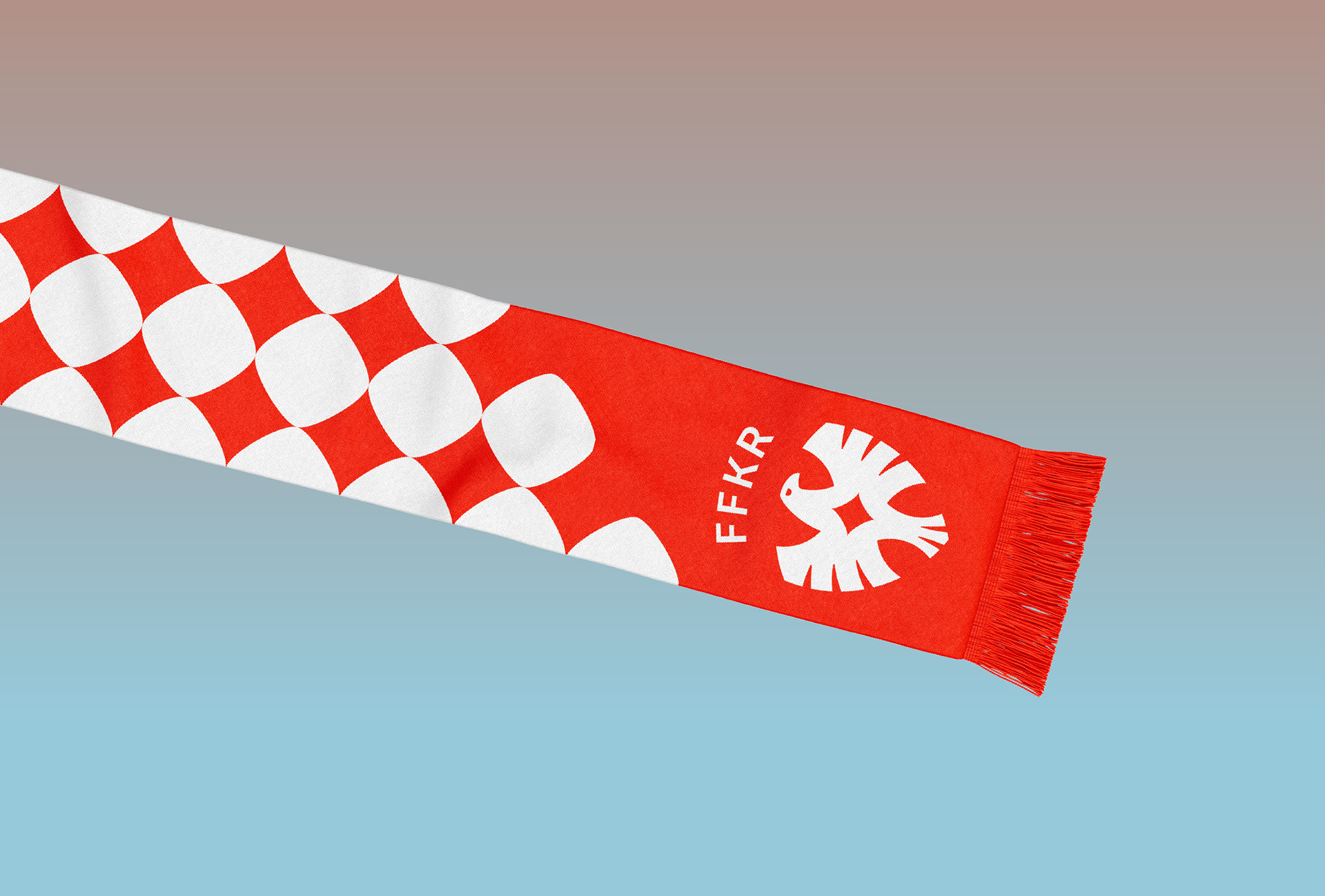 Football Federation of the Kyrgyz Republic – Rebranding — Изображение №13 — Брендинг на Dprofile