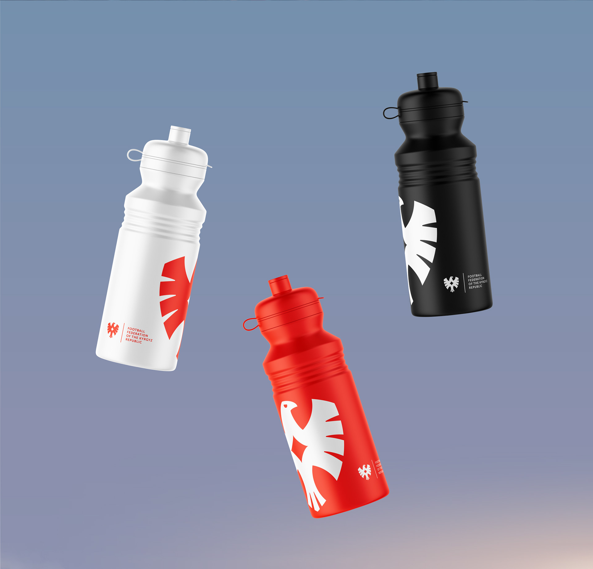 Football Federation of the Kyrgyz Republic – Rebranding — Изображение №19 — Брендинг на Dprofile
