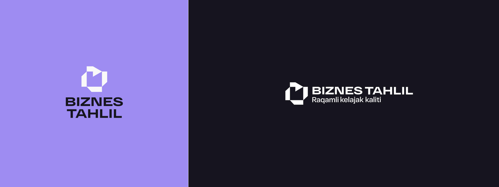 Biznes tahlil - Logo identitiy — Изображение №5 — Брендинг на Dprofile