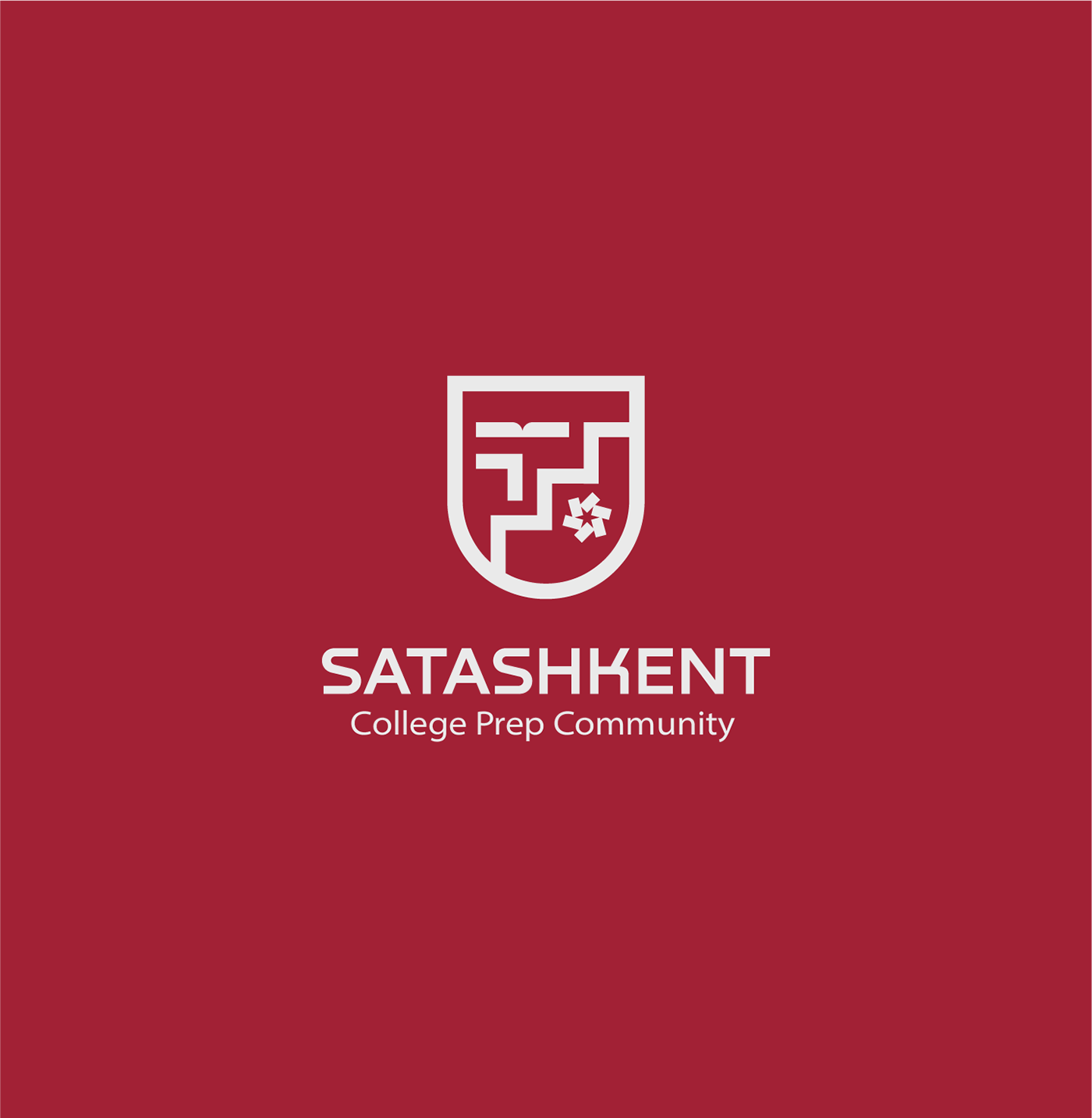 Satashkent - Brand identity — Изображение №7 — Брендинг, Маркетинг на Dprofile