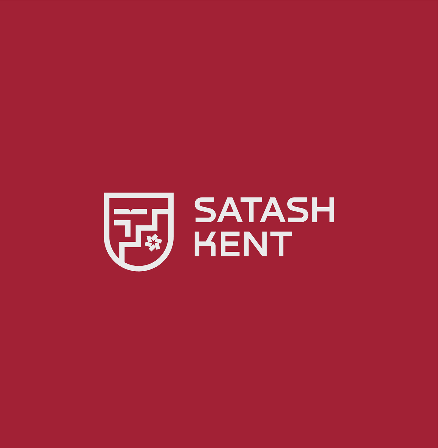 Satashkent - Brand identity — Изображение №8 — Брендинг, Маркетинг на Dprofile