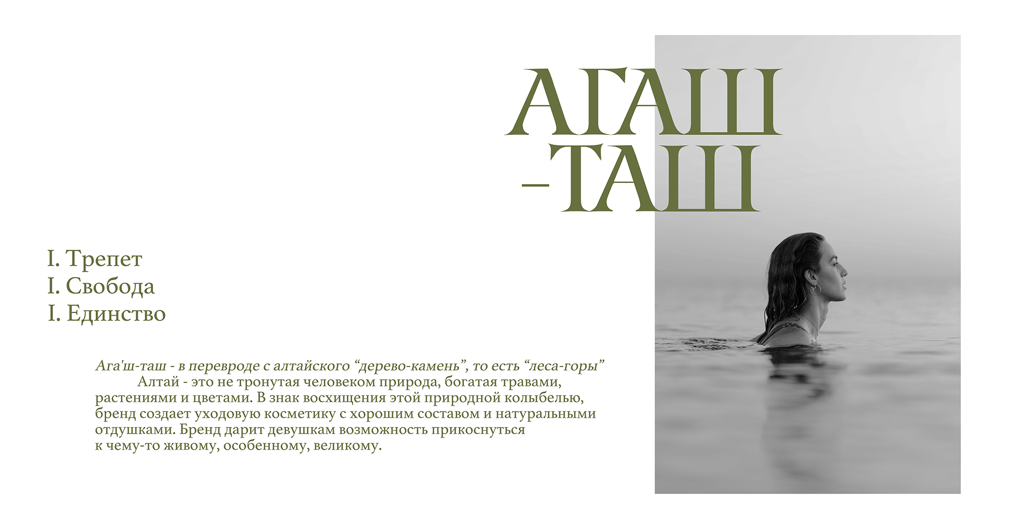 БРЕНД АЛТАЙСКОЙ КОСМЕТИКИ | ФИРМЕННЫЙ СТИЛЬ — Изображение №2 — Брендинг на Dprofile