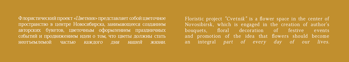 ЦВЕТОЧНОЕ ПРОСТРАНСТВО | ФИРМЕННЫЙ СТИЛЬ — Изображение №1 — Брендинг на Dprofile