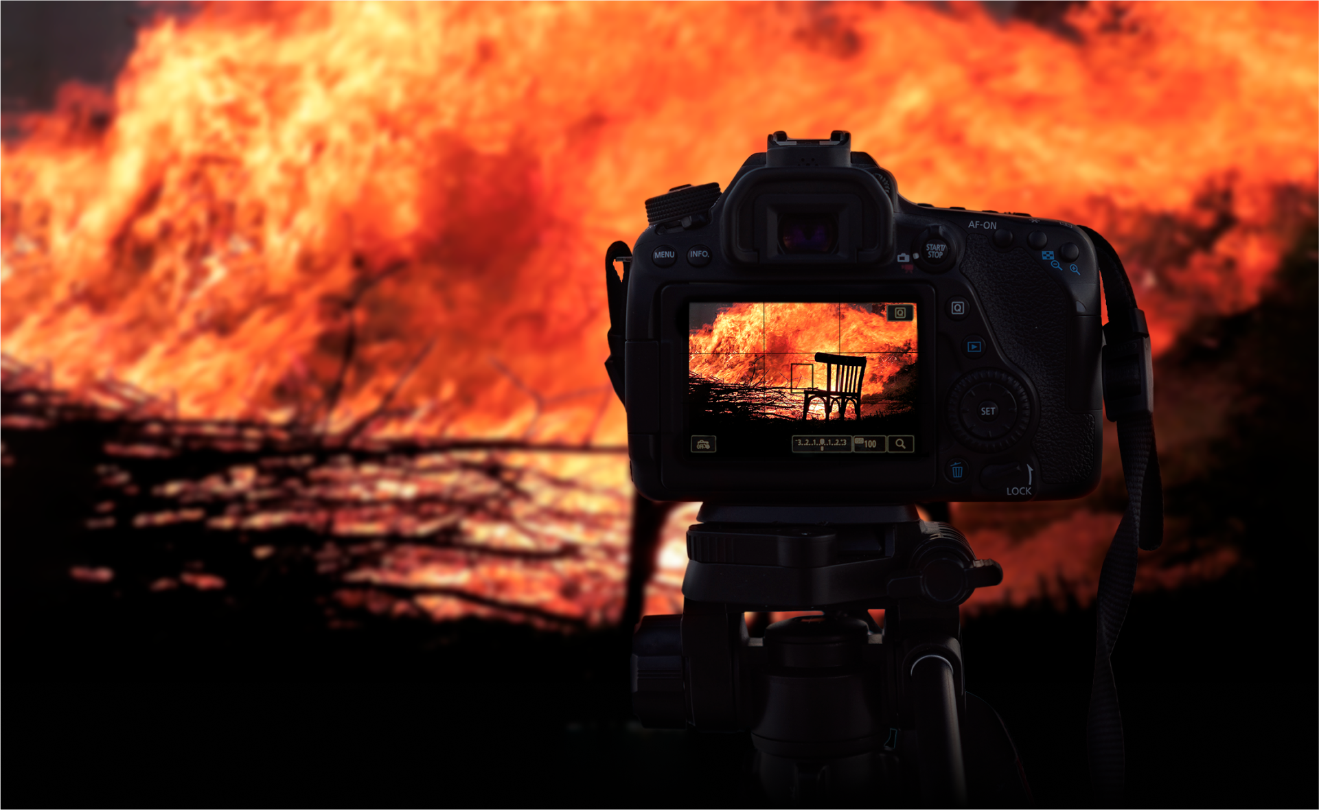 The Phlox is a documentary about Siberian fires — Изображение №7 — Брендинг, Графика на Dprofile