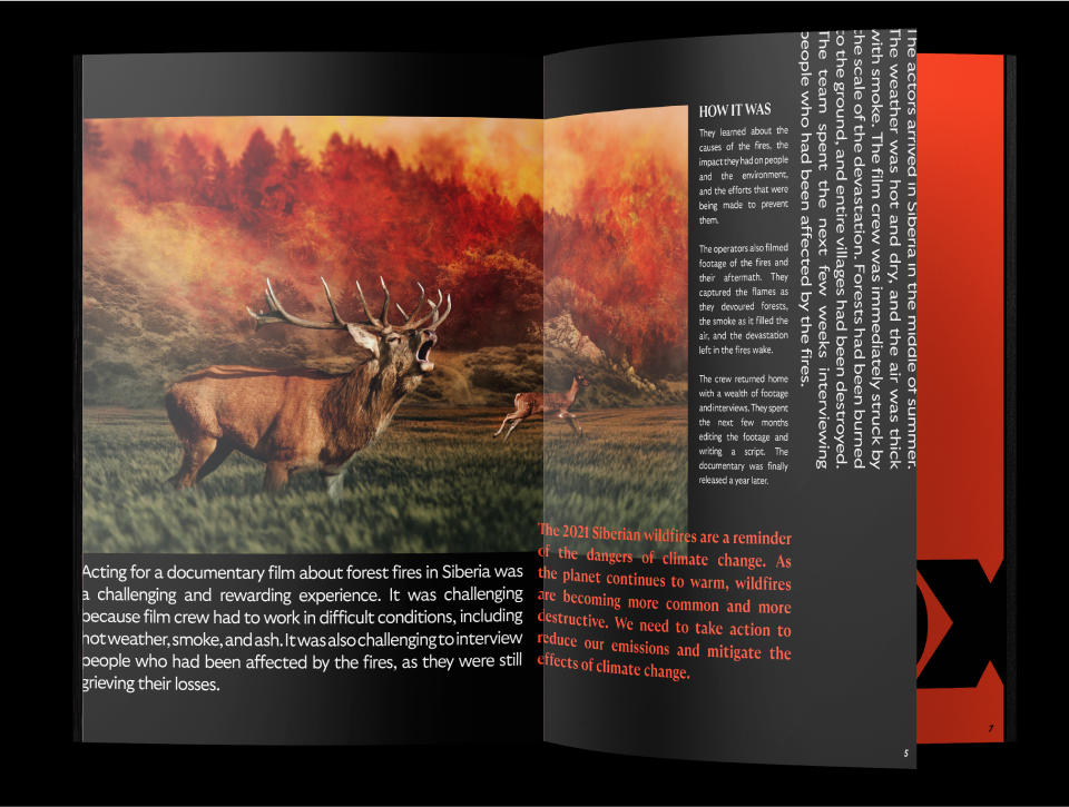 The Phlox is a documentary about Siberian fires — Изображение №11 — Брендинг, Графика на Dprofile