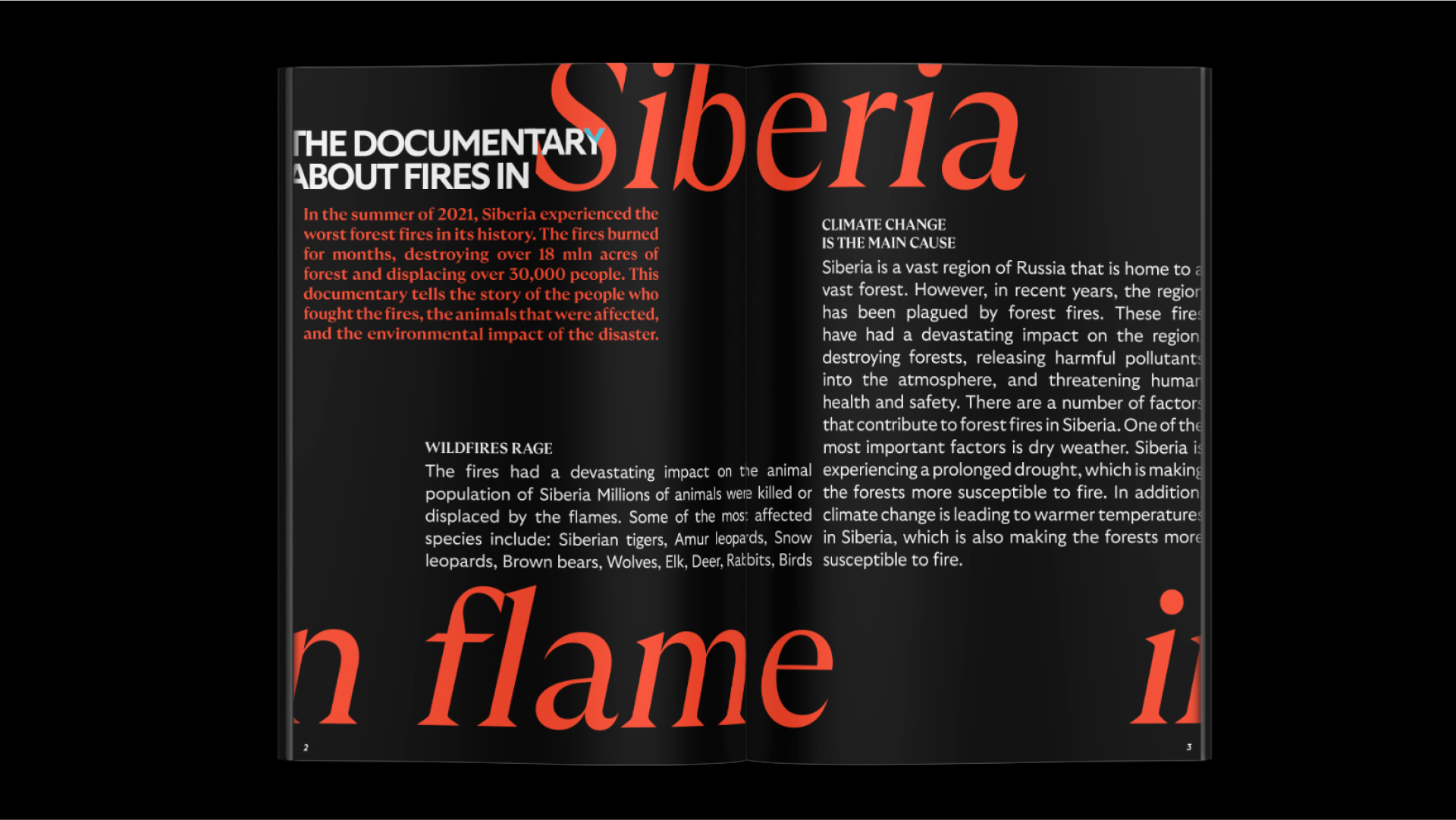 The Phlox is a documentary about Siberian fires — Изображение №10 — Брендинг, Графика на Dprofile