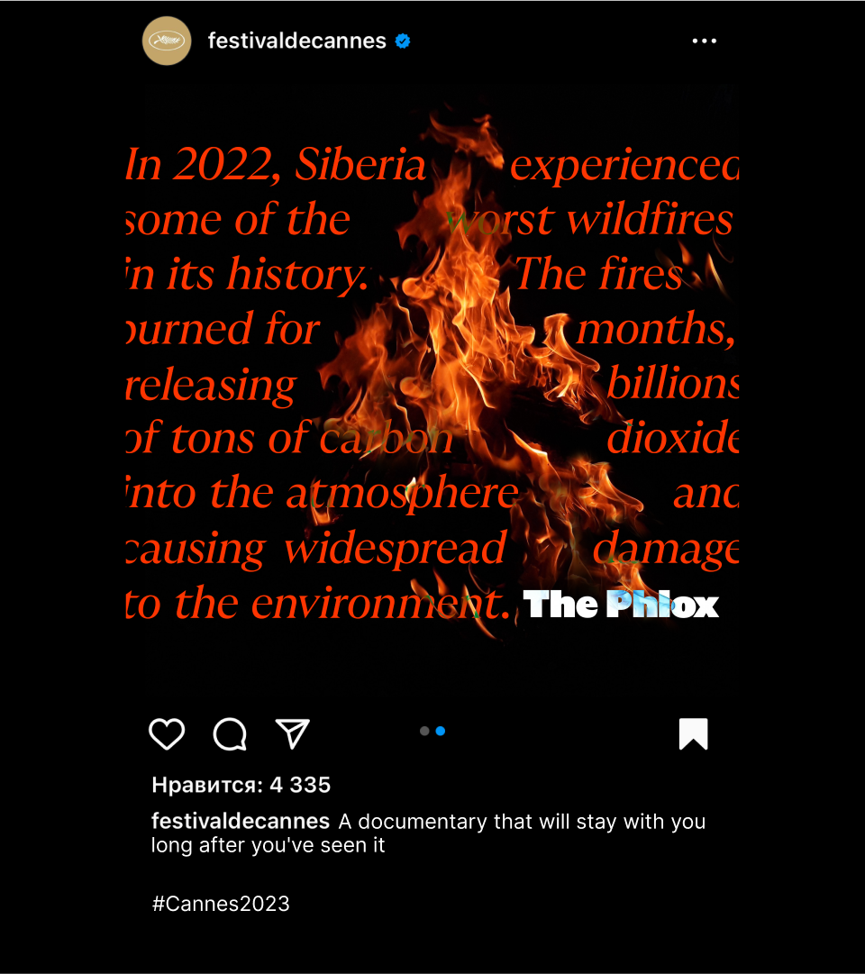 The Phlox is a documentary about Siberian fires — Изображение №6 — Брендинг, Графика на Dprofile